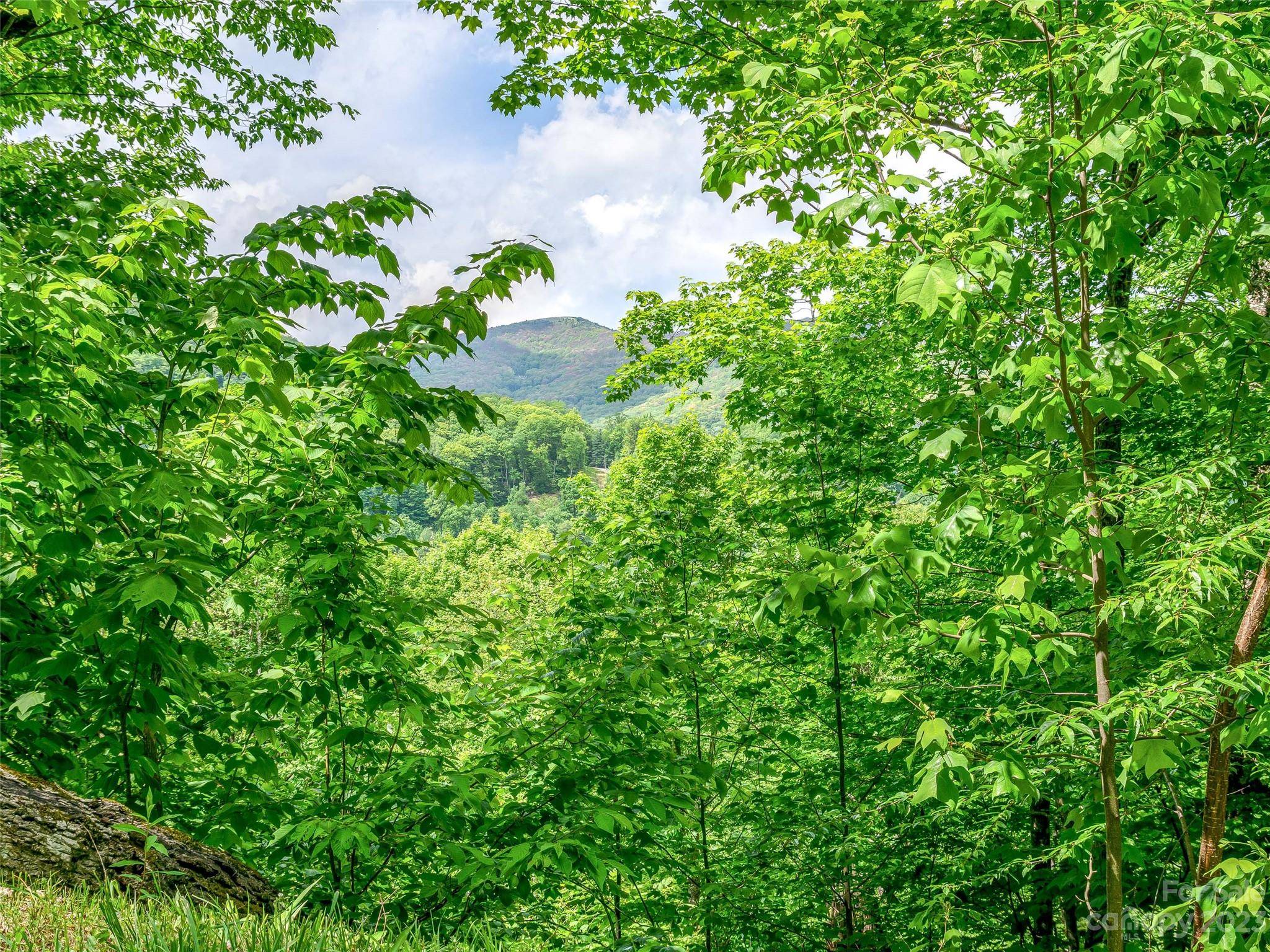 Lot 9 Mountain Gait DR, Mars Hill, NC 28754