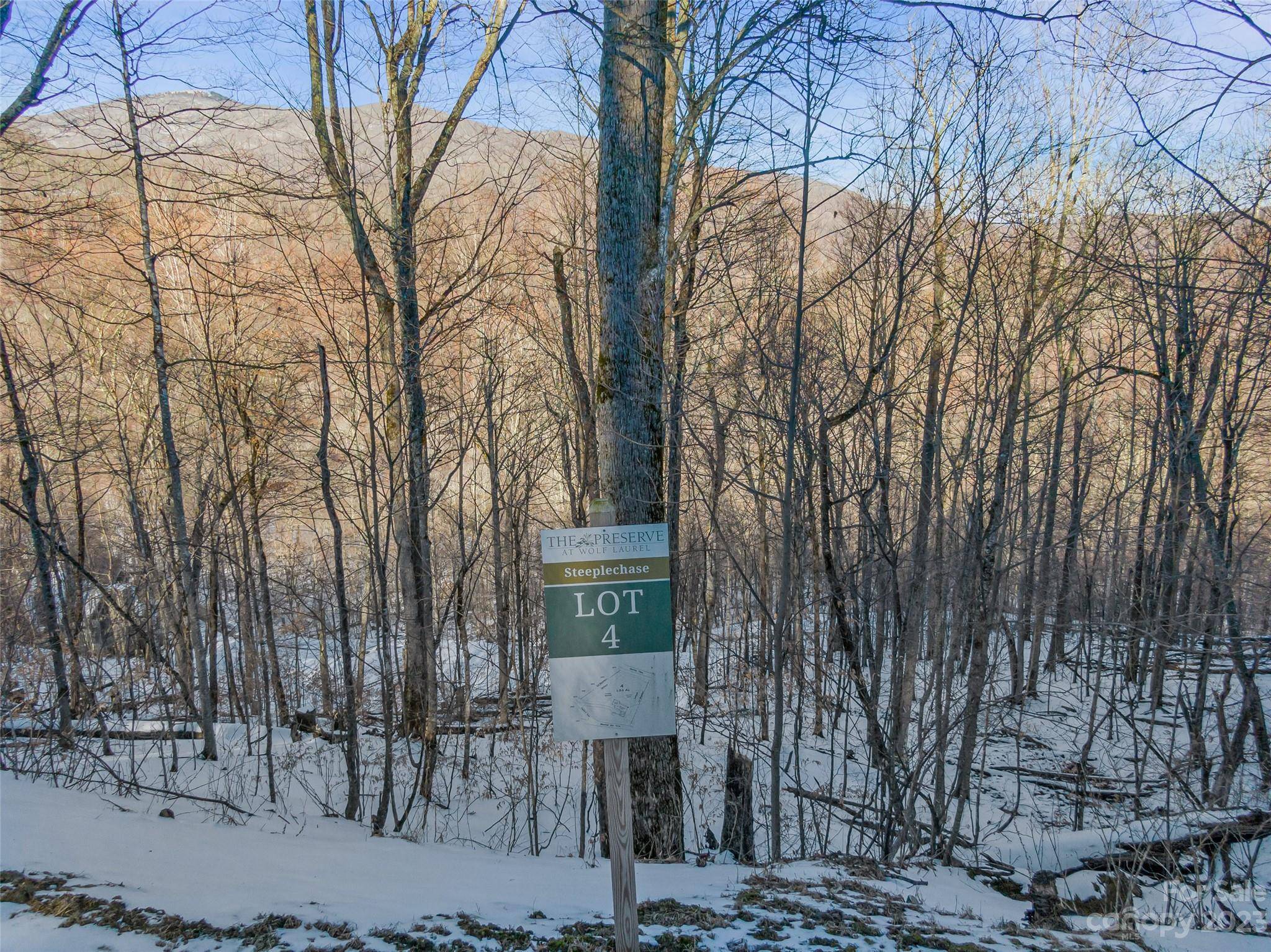 Lot 4 Mountain Gait DR, Mars Hill, NC 28754