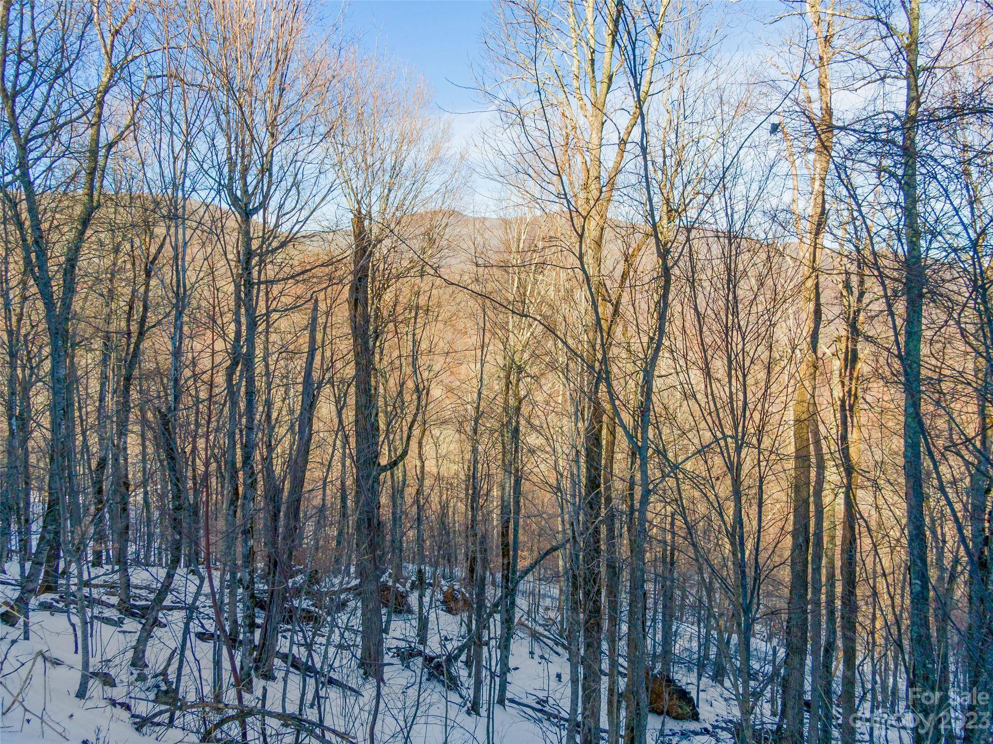 Lot 3 Mountain Gait DR, Mars Hill, NC 28754