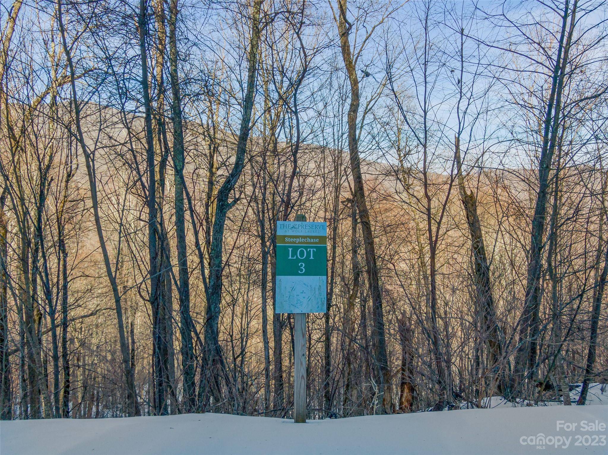 Lot 3 Mountain Gait DR, Mars Hill, NC 28754