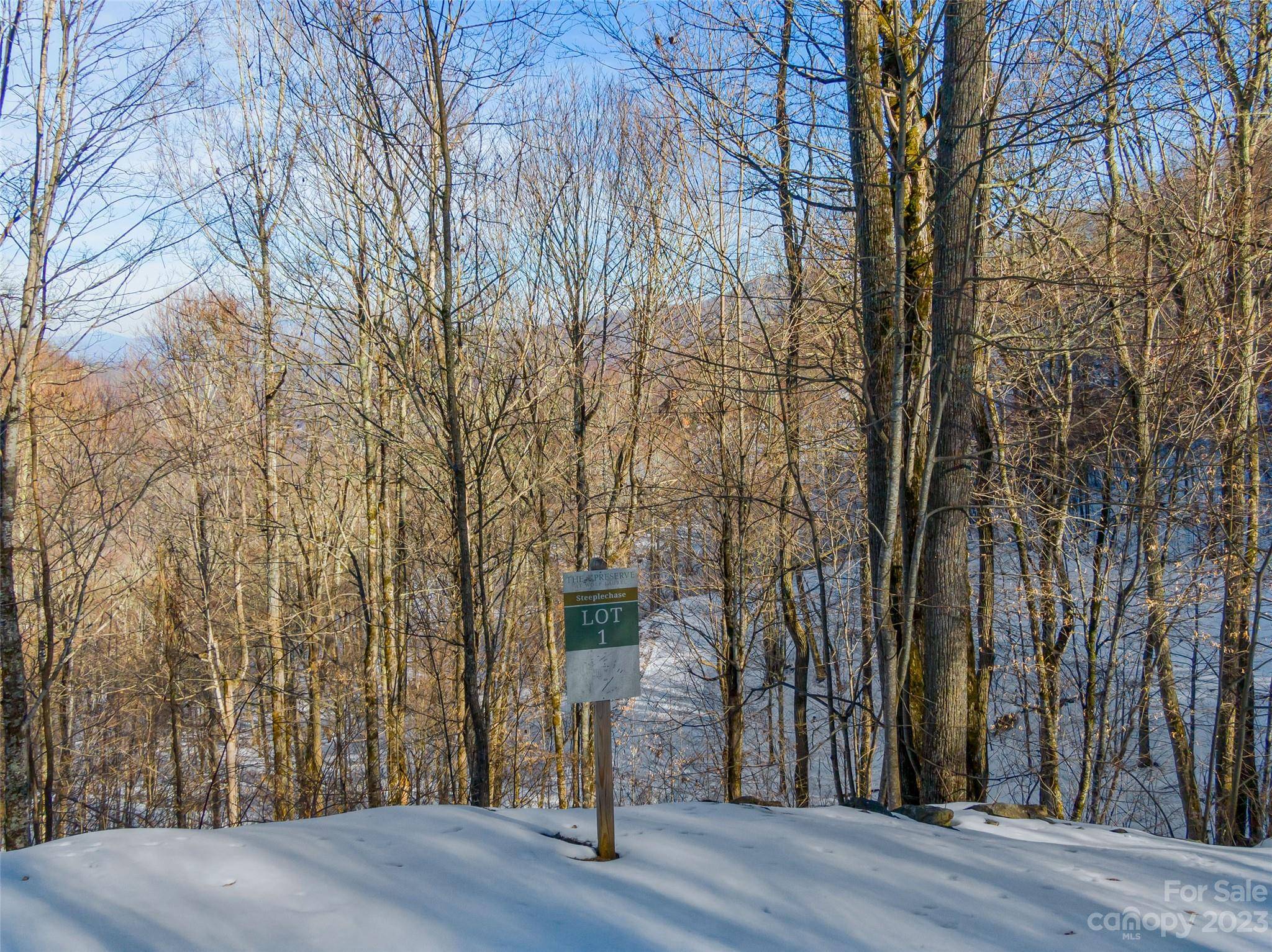 Lot 1 Mountain Gait DR, Mars Hill, NC 28754