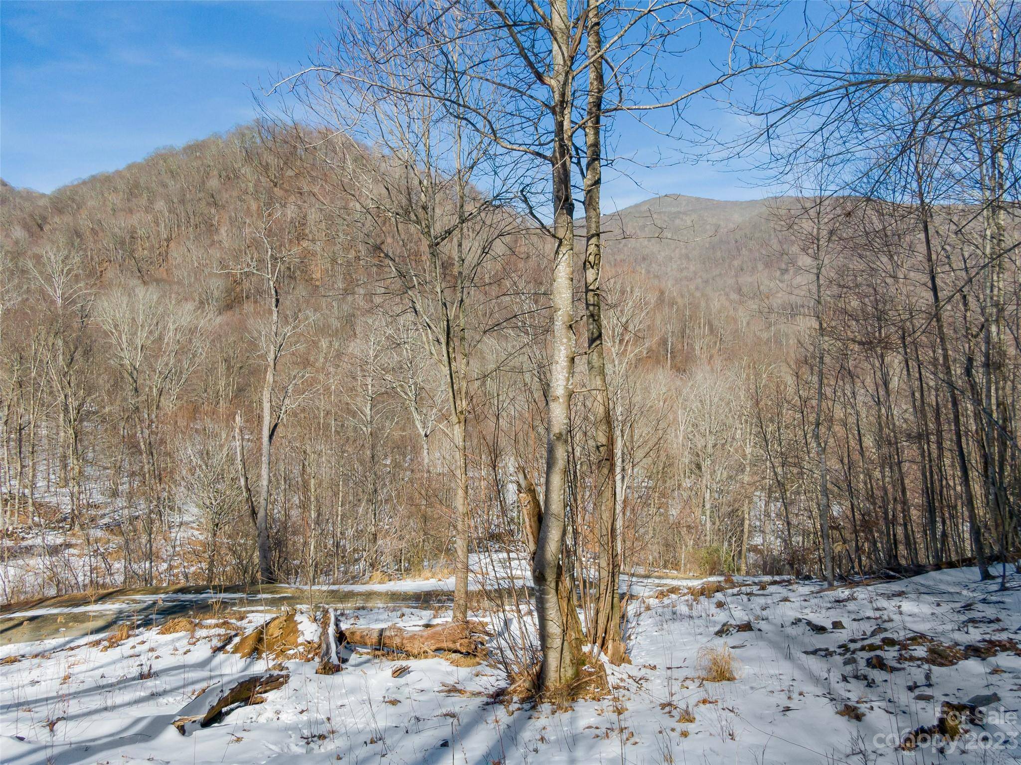 Lot 6 Settlement WAY, Mars Hill, NC 28754