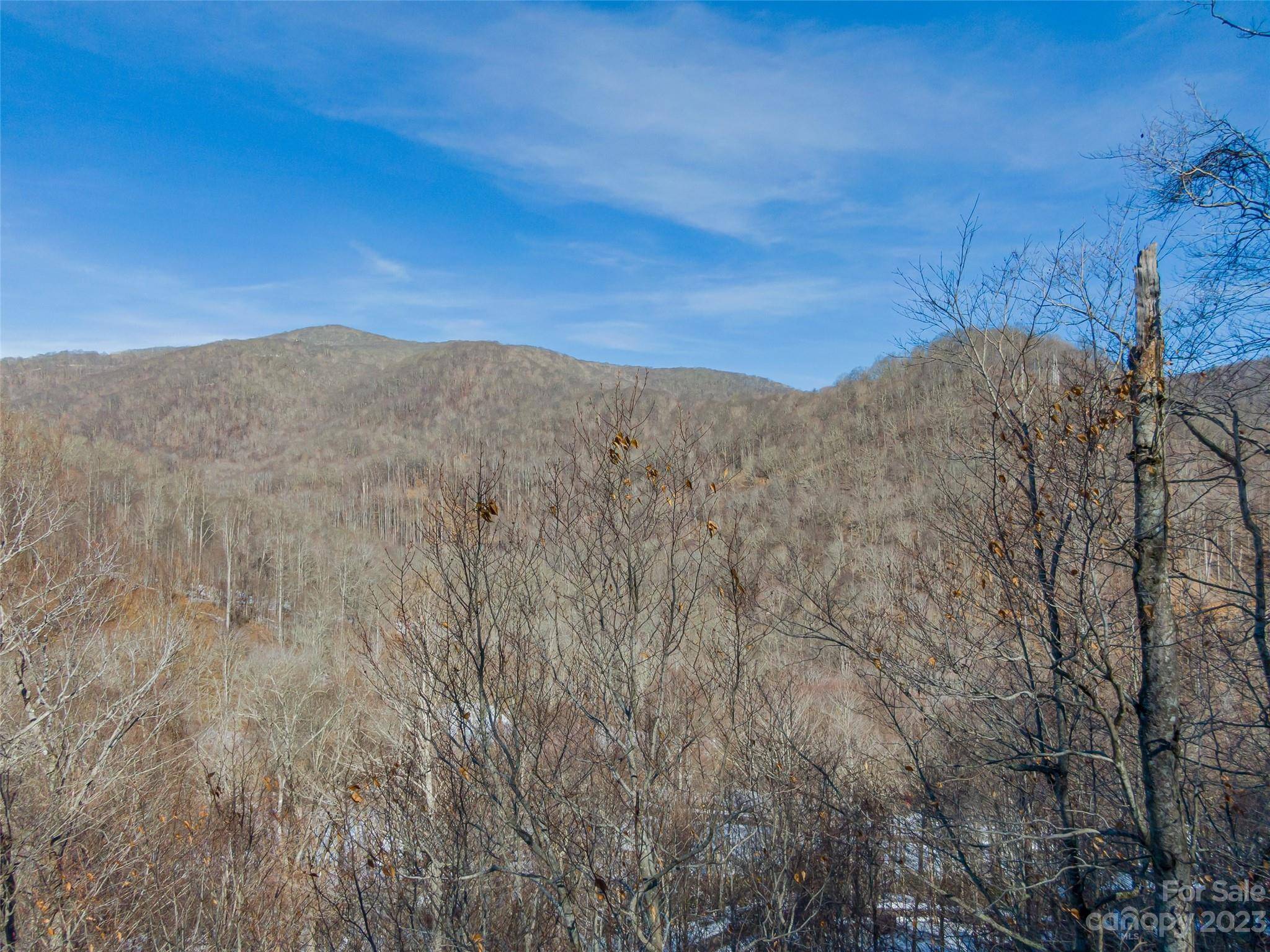 Lot 8 Settlement WAY, Mars Hill, NC 28754