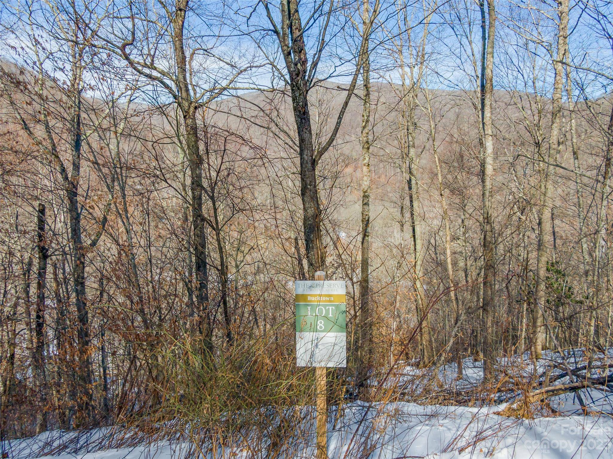 Lot 8 Settlement WAY, Mars Hill, NC 28754