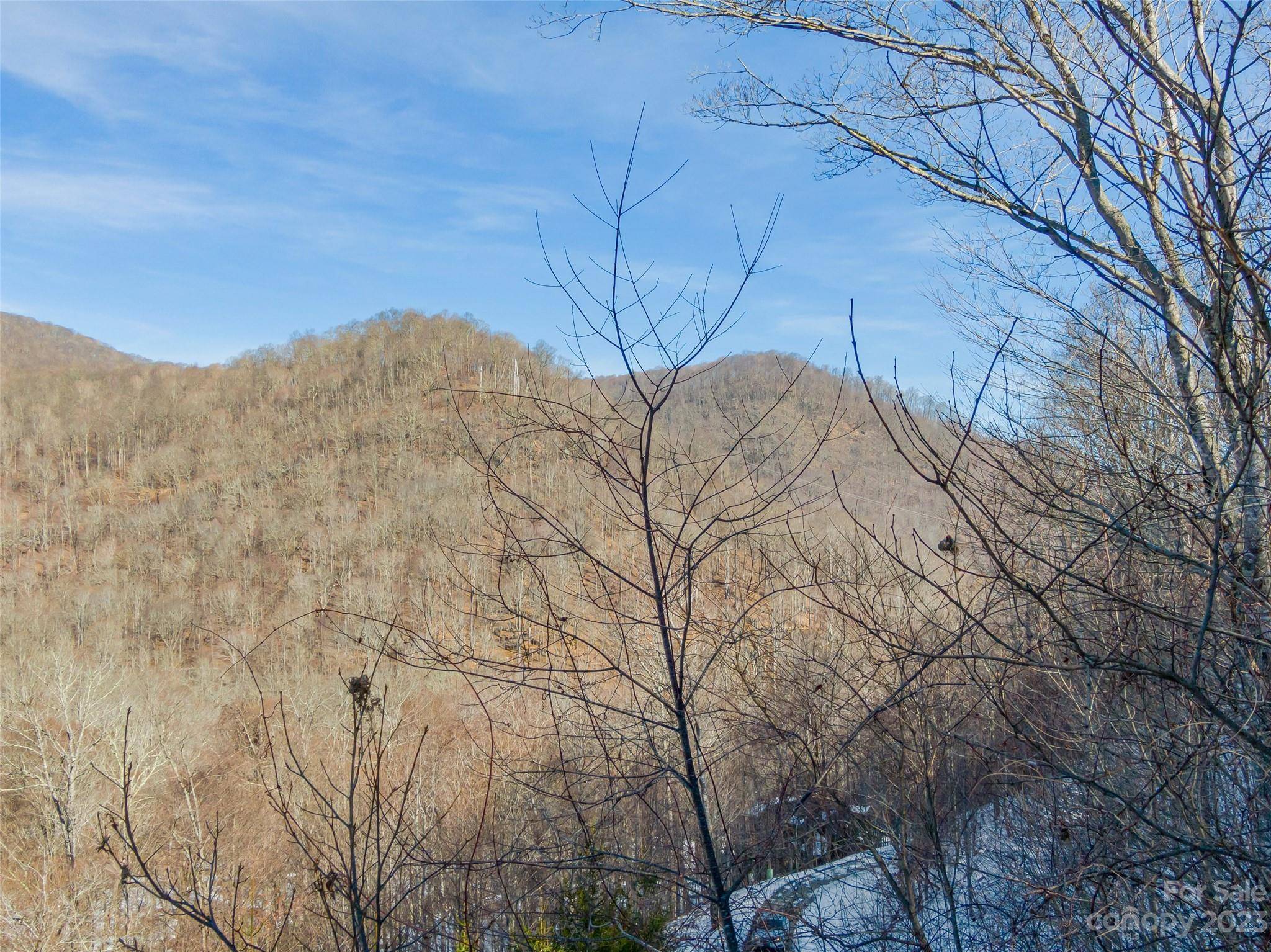 Lot 7 Hadleigh Pearl WAY, Mars Hill, NC 28754
