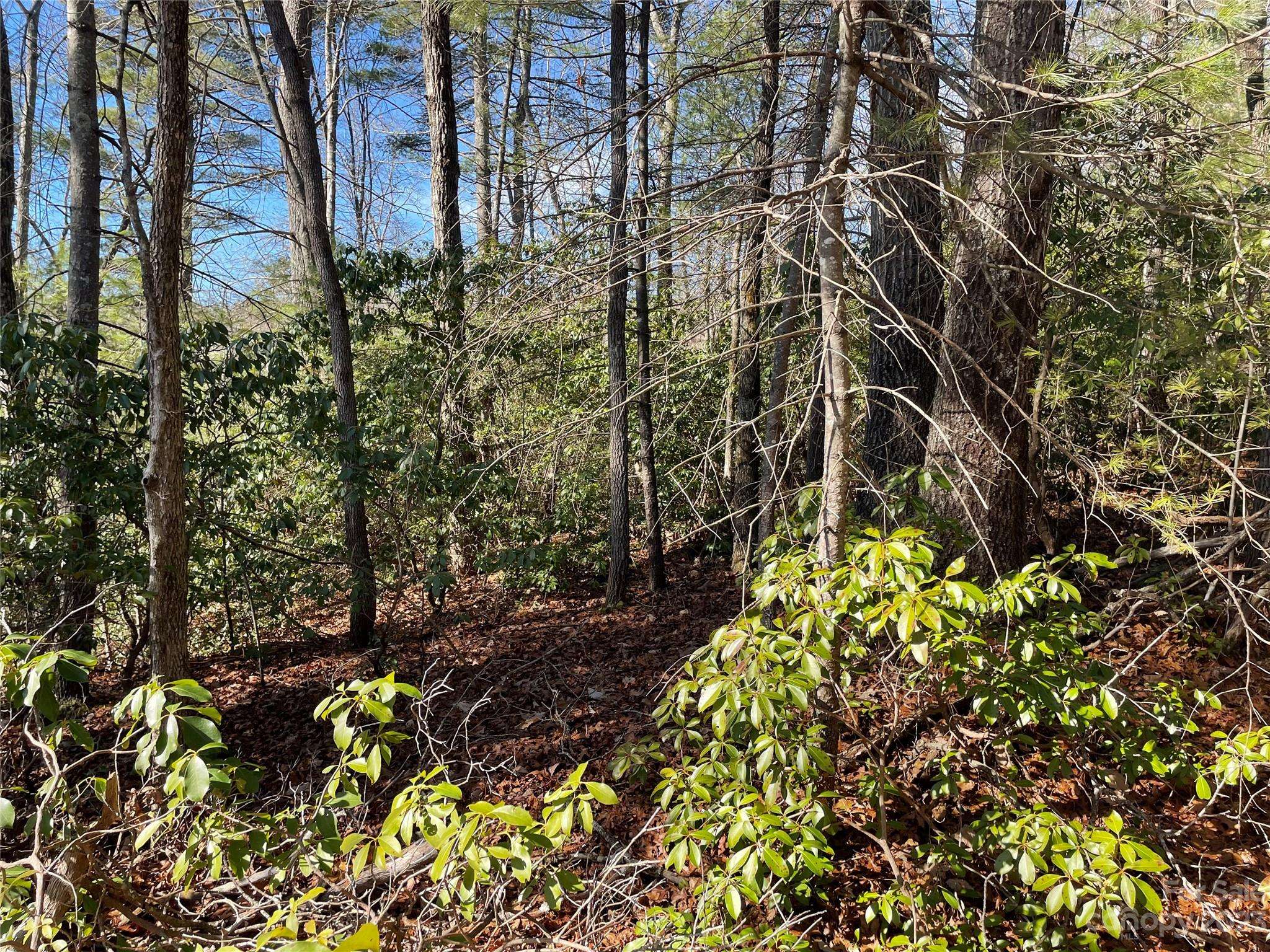 00 Willow Run LN #16, Zirconia, NC 28790