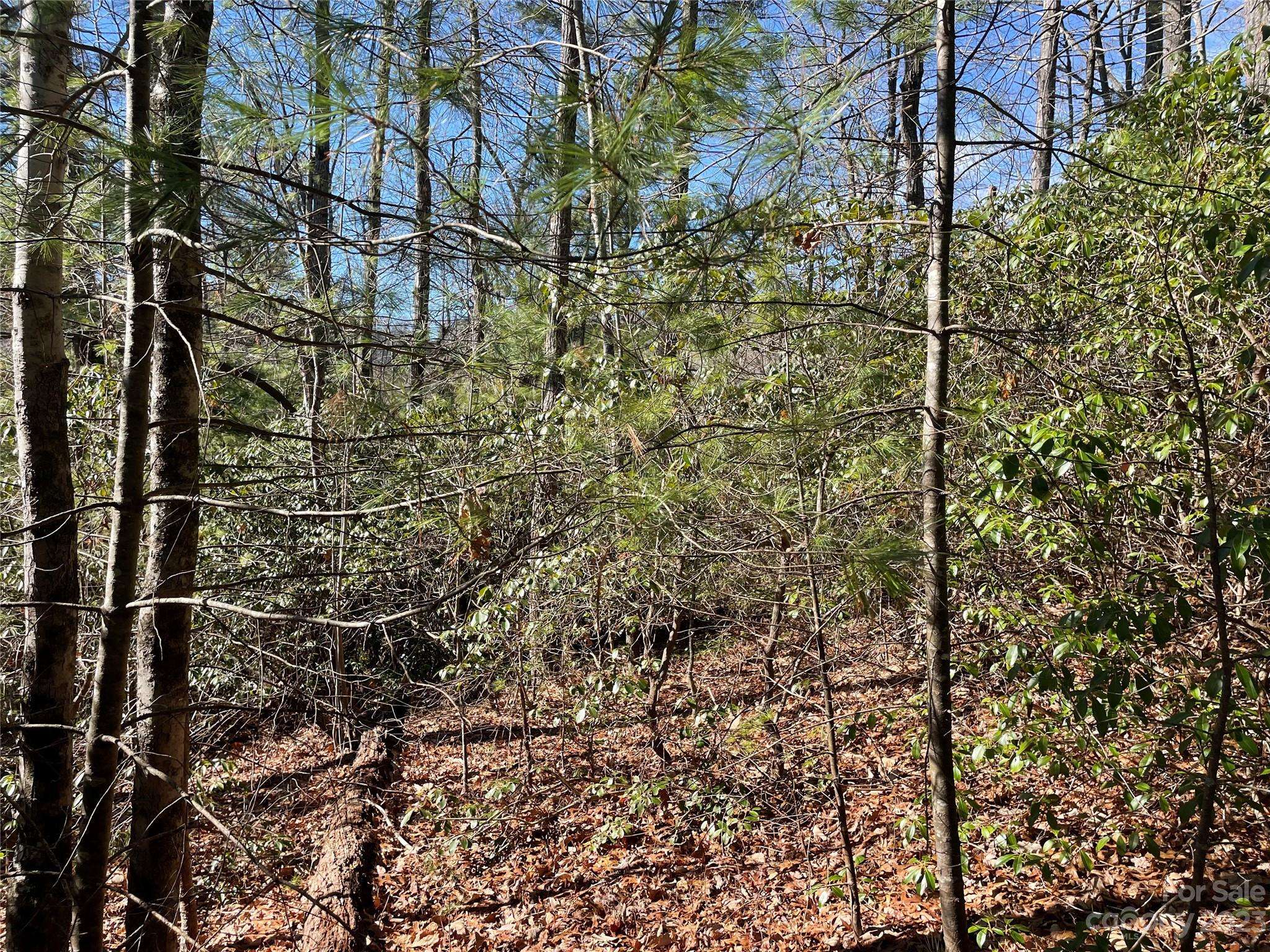 00 Willow Run LN #16, Zirconia, NC 28790