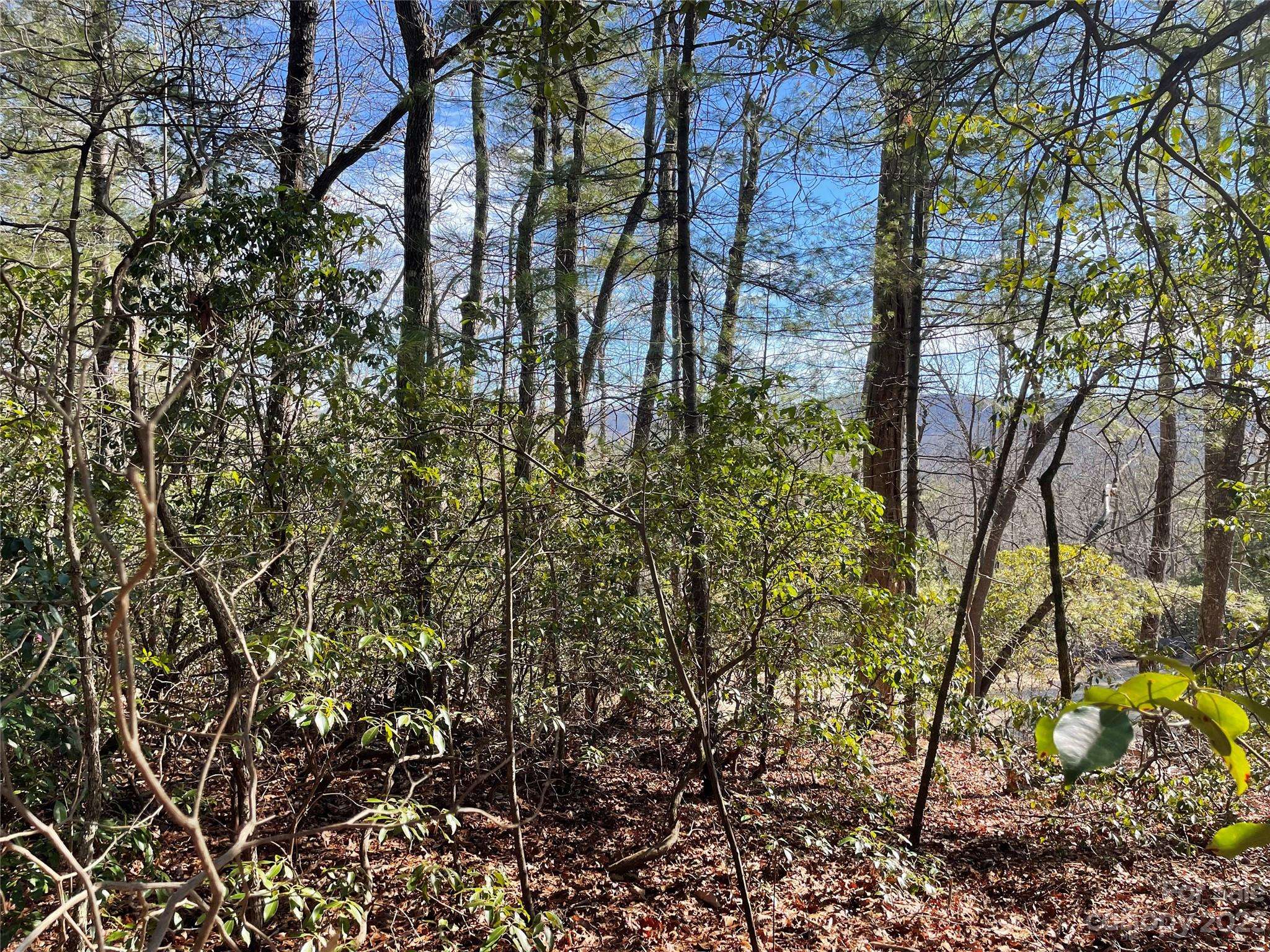 00 Willow Run LN #16, Zirconia, NC 28790