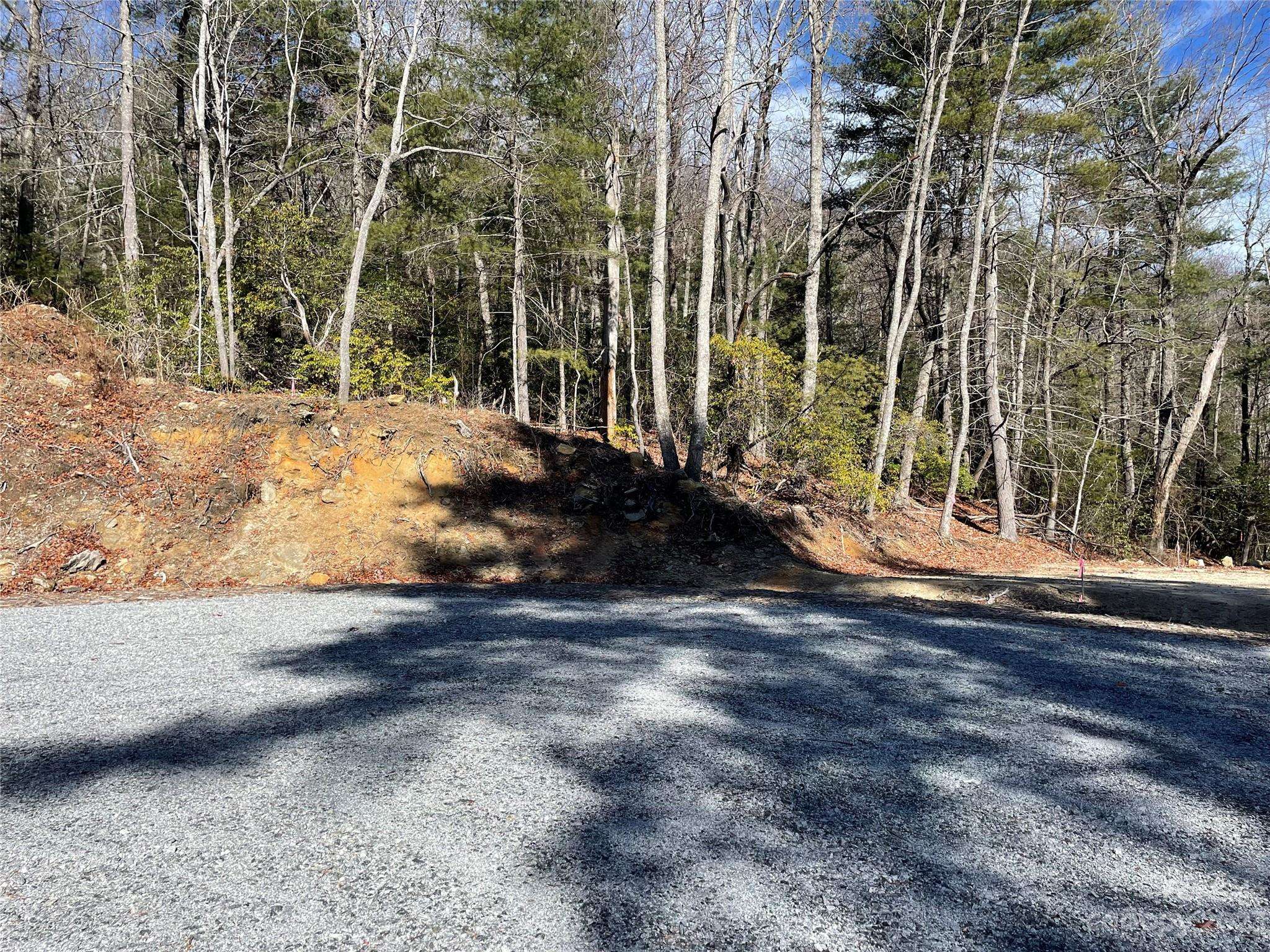 00 Willow Run LN #16, Zirconia, NC 28790