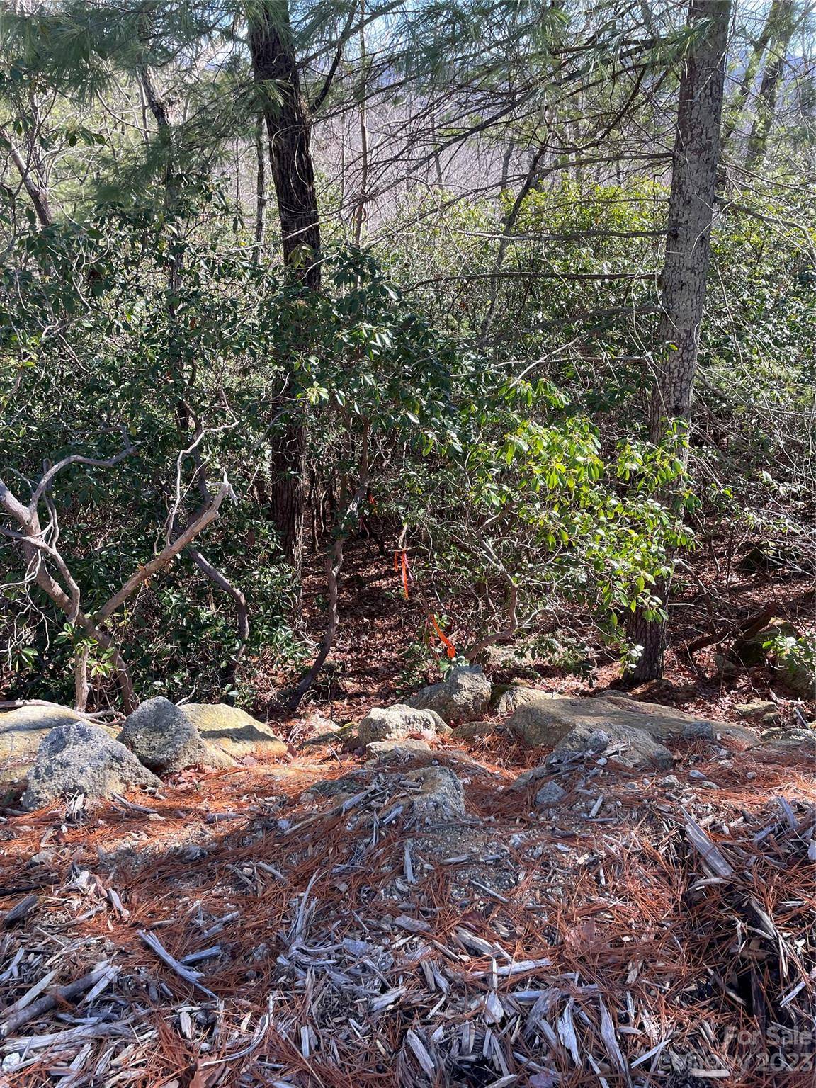 00 Willow Run LN #15, Zirconia, NC 28790