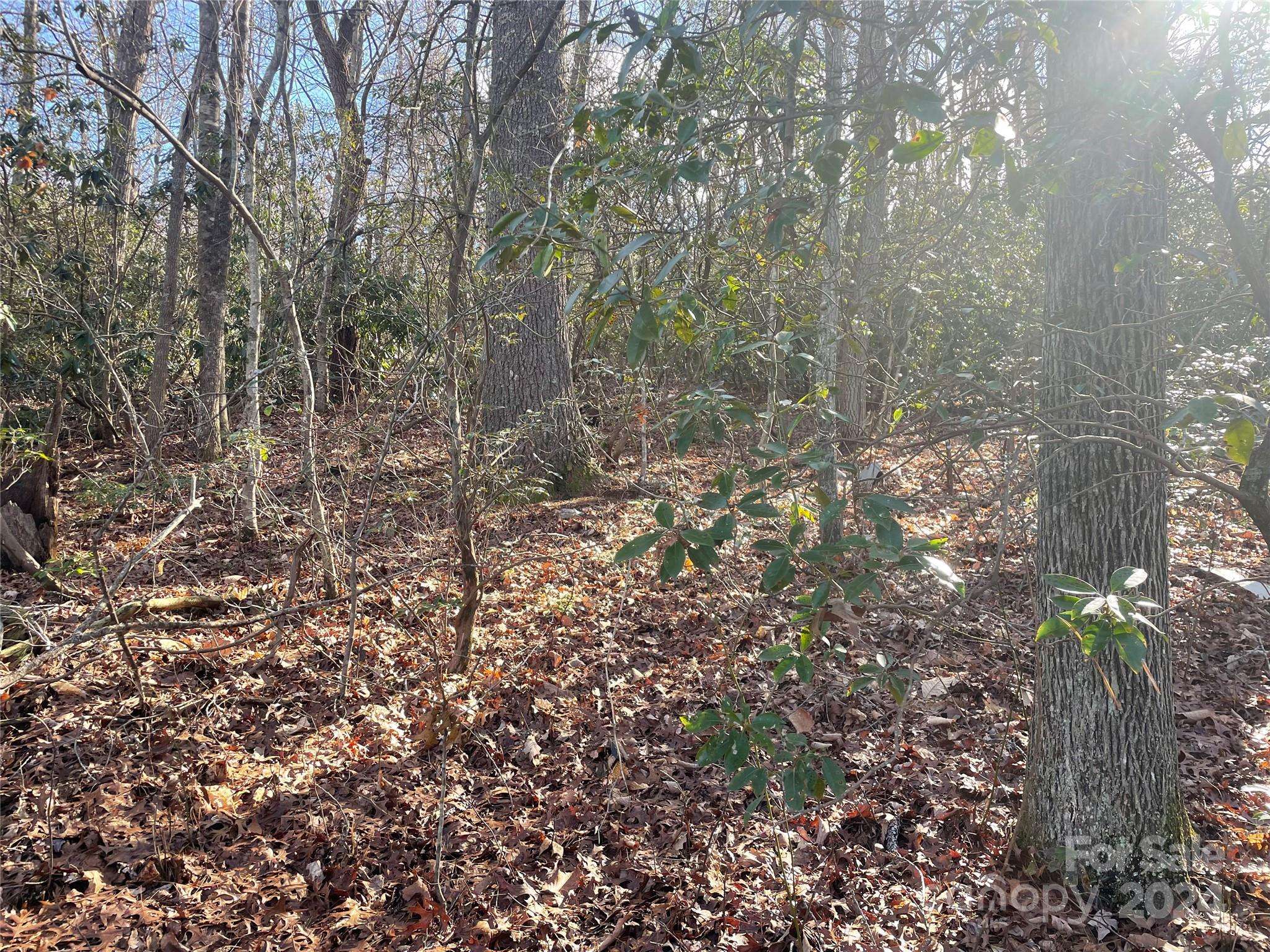 146 Center ST #9 & 10, Black Mountain, NC 28711