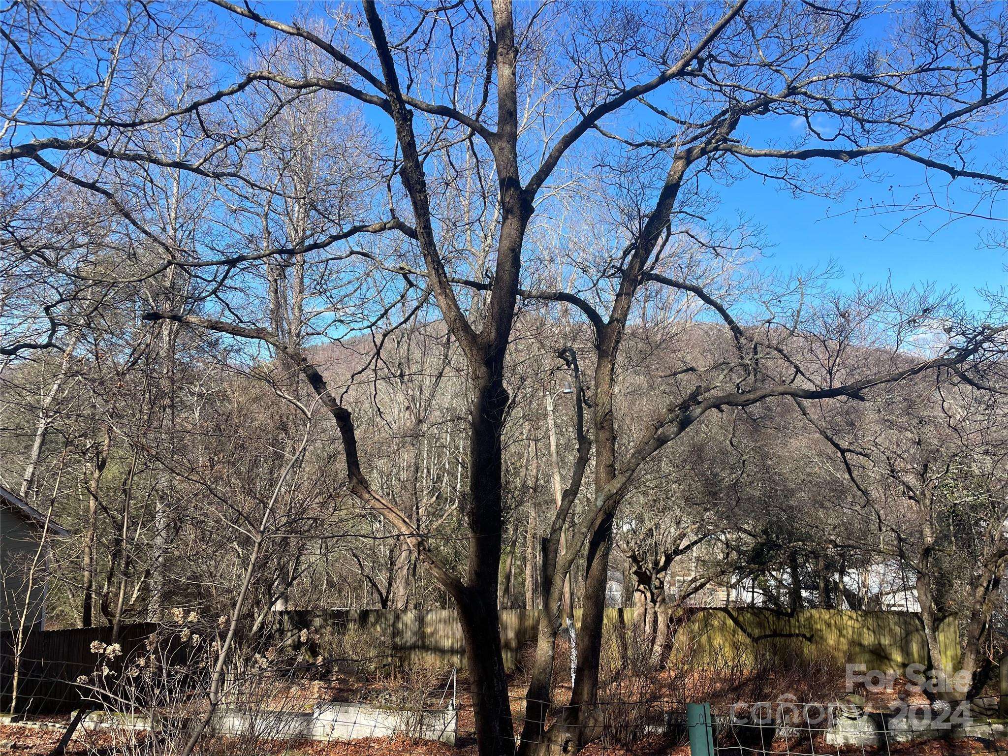 146 Center ST #9 & 10, Black Mountain, NC 28711