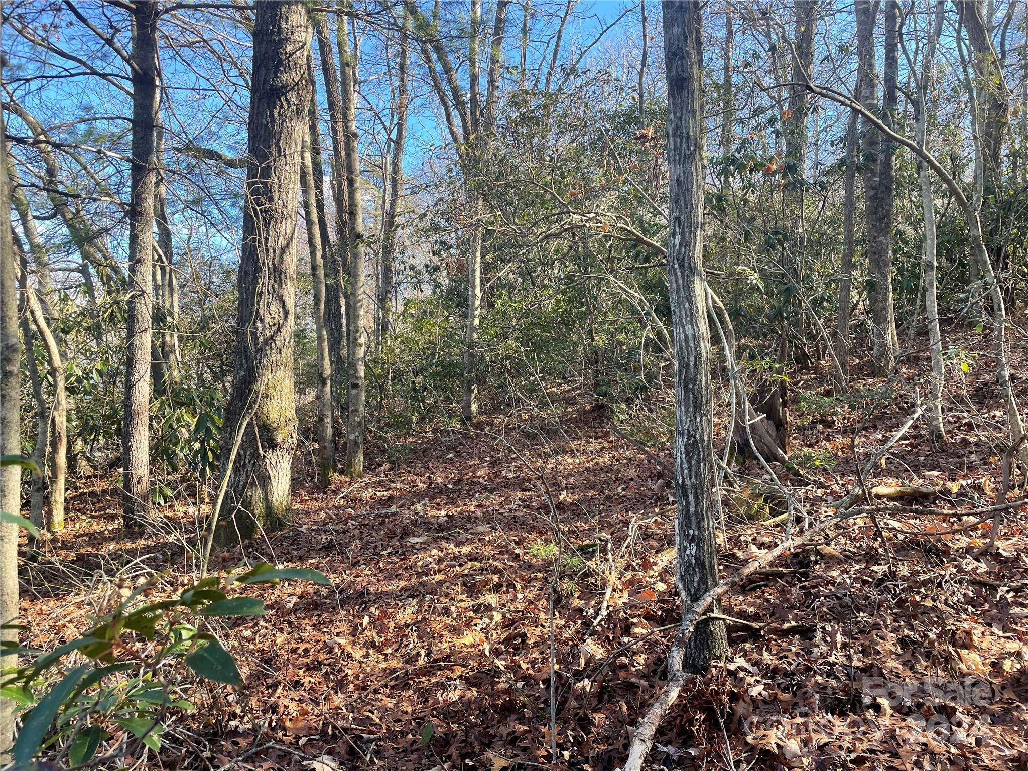 146 Center ST #9 & 10, Black Mountain, NC 28711