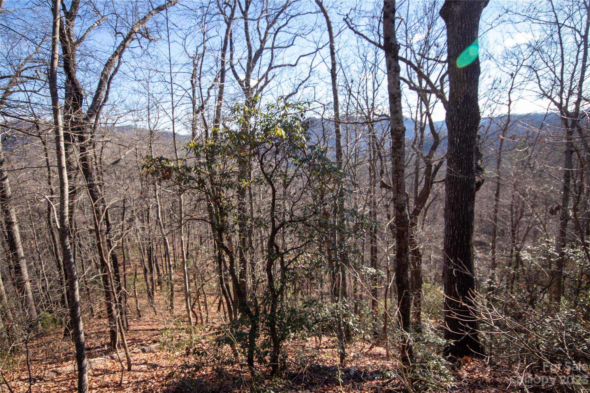 Lot# 502 Fire Crest LN #502, Lenoir, NC 28645