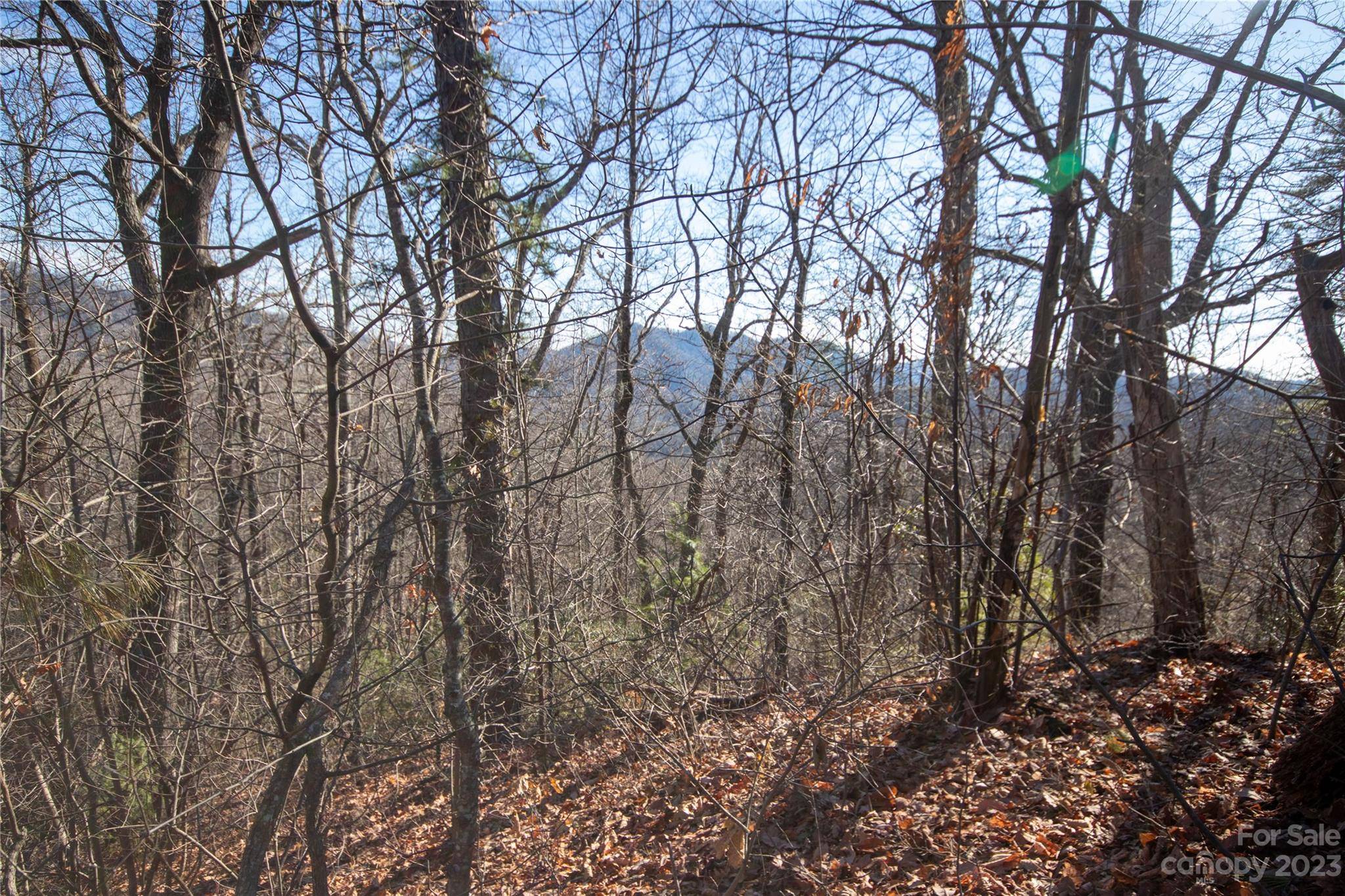 Lot# 502 Fire Crest LN #502, Lenoir, NC 28645