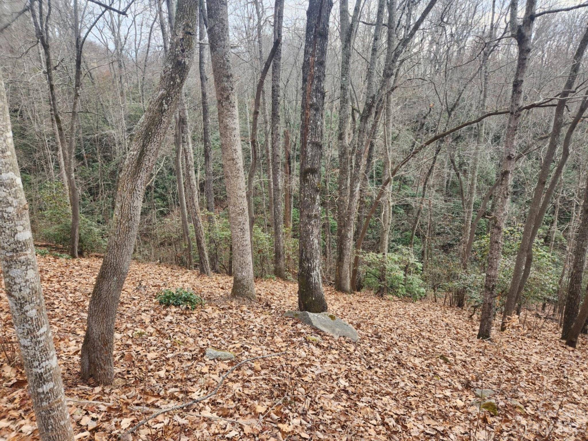 145 Ivywood LN #10, Laurel Park, NC 28739