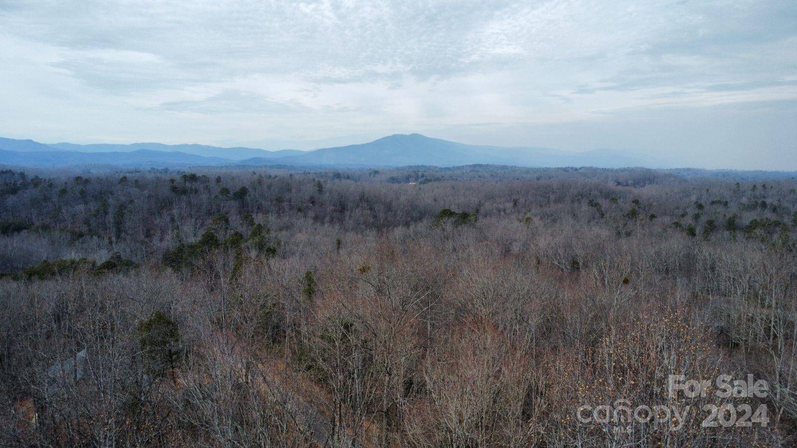 Lot #73 Black Lark DR, Marion, NC 28752