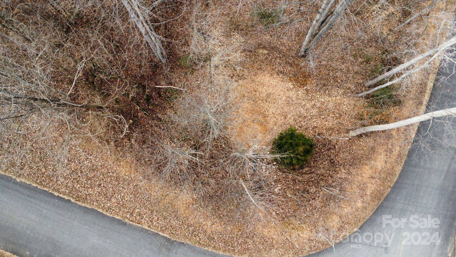Lot #73 Black Lark DR, Marion, NC 28752