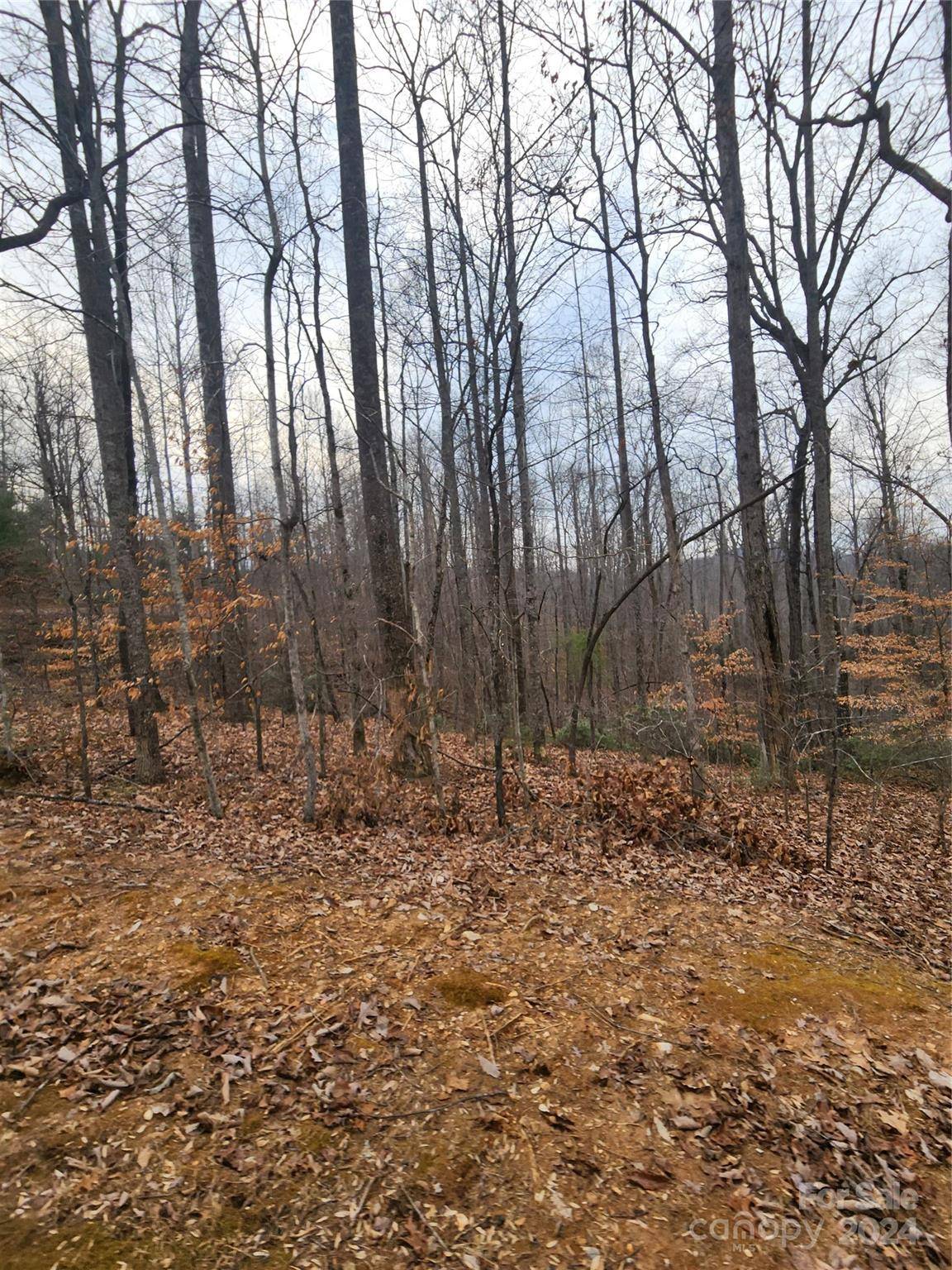 Lot #73 Black Lark DR, Marion, NC 28752