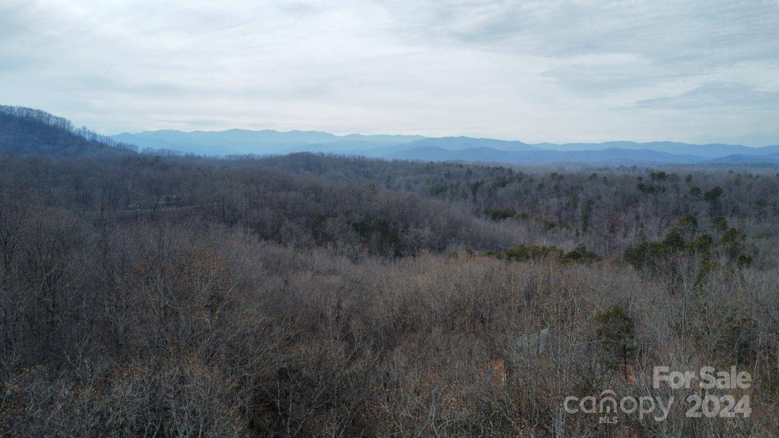 Lot #73 Black Lark DR, Marion, NC 28752
