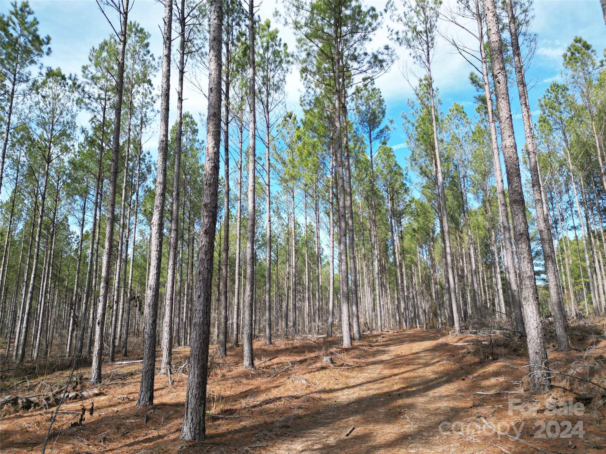 TBD Spencer Pointe RD #Lot 20C, Lilesville, NC 28091