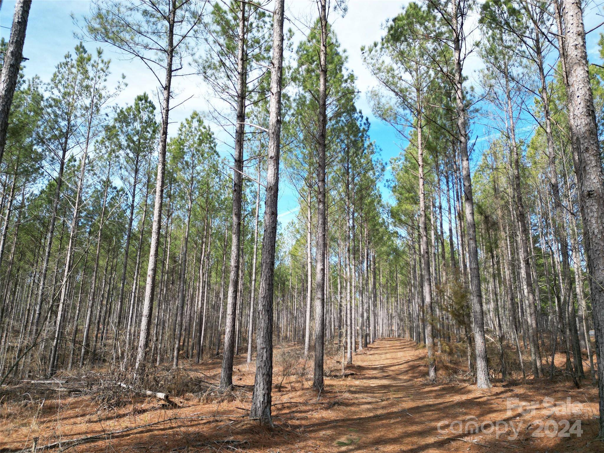 TBD Spencer Pointe RD #Lot 20C, Lilesville, NC 28091