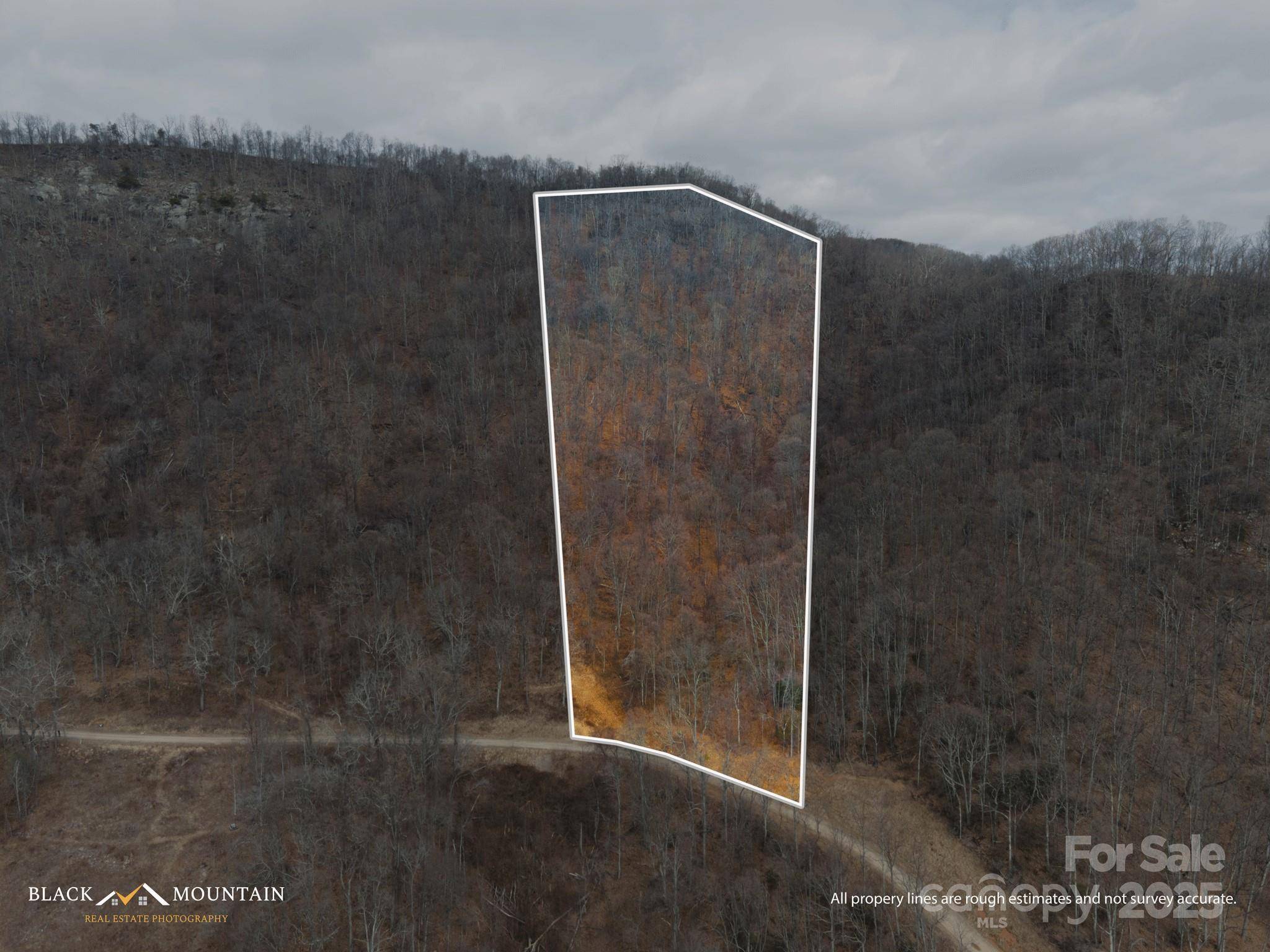 999 High Rock View DR #36, Canton, NC 28716