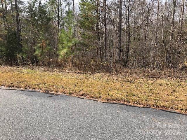 00 Woodstock LN, Rutherfordton, NC 28139