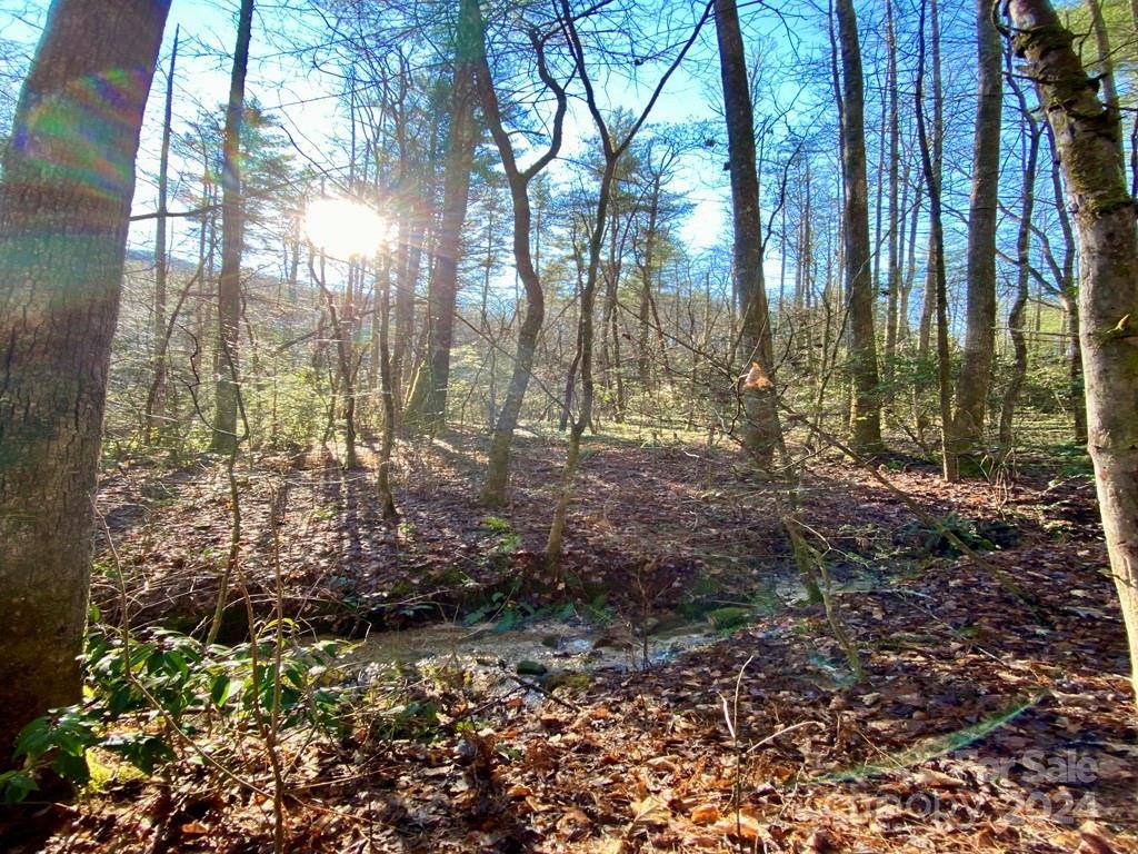 L41 Abby Falls RD #L41, Rosman, NC 28772