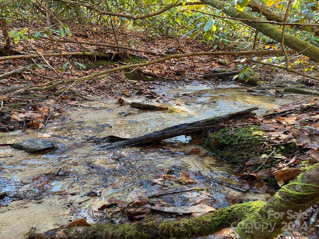 L41 Abby Falls RD #L41, Rosman, NC 28772