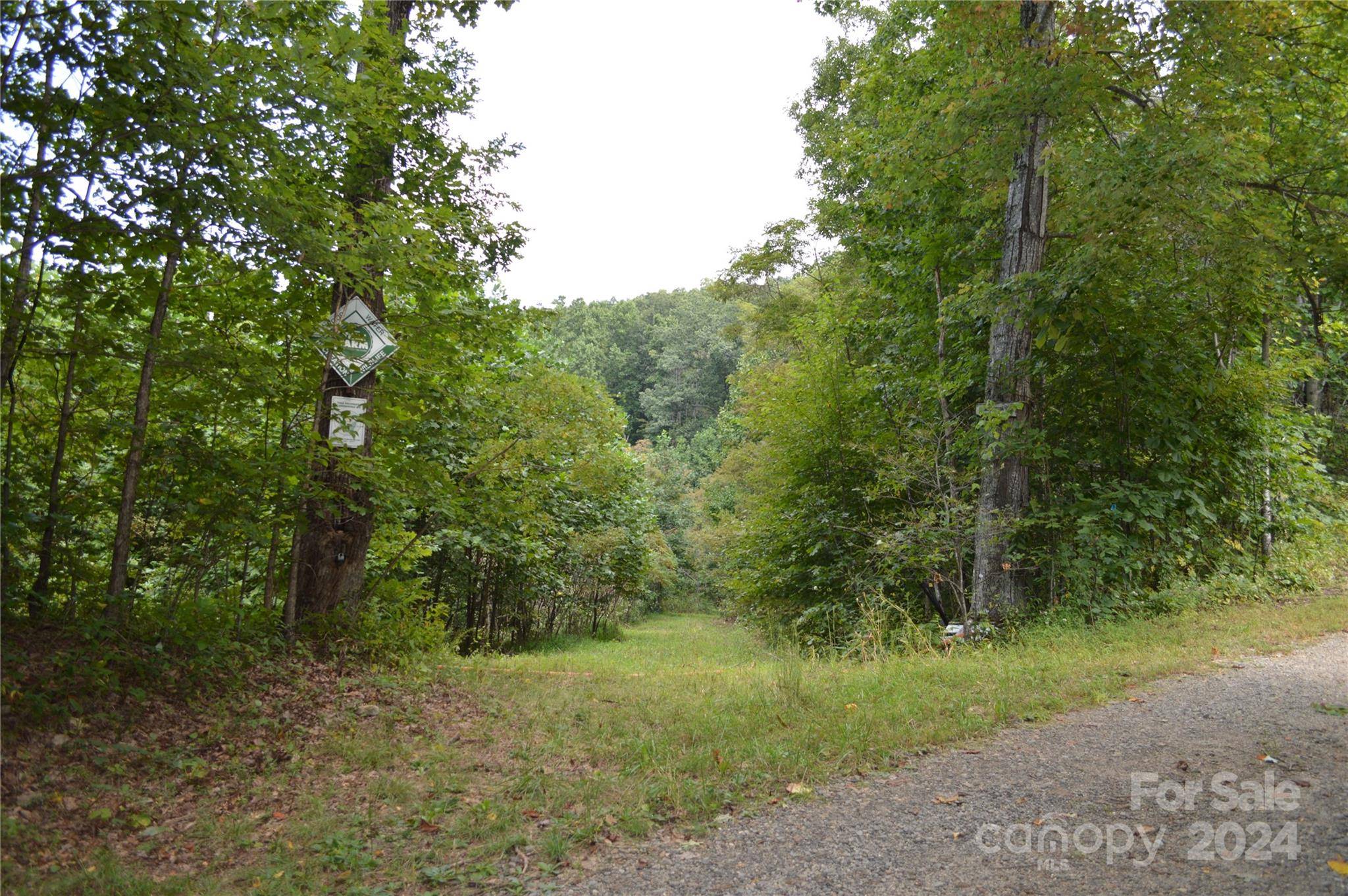 9999 Still Spring RD, Black Mountain, NC 28711