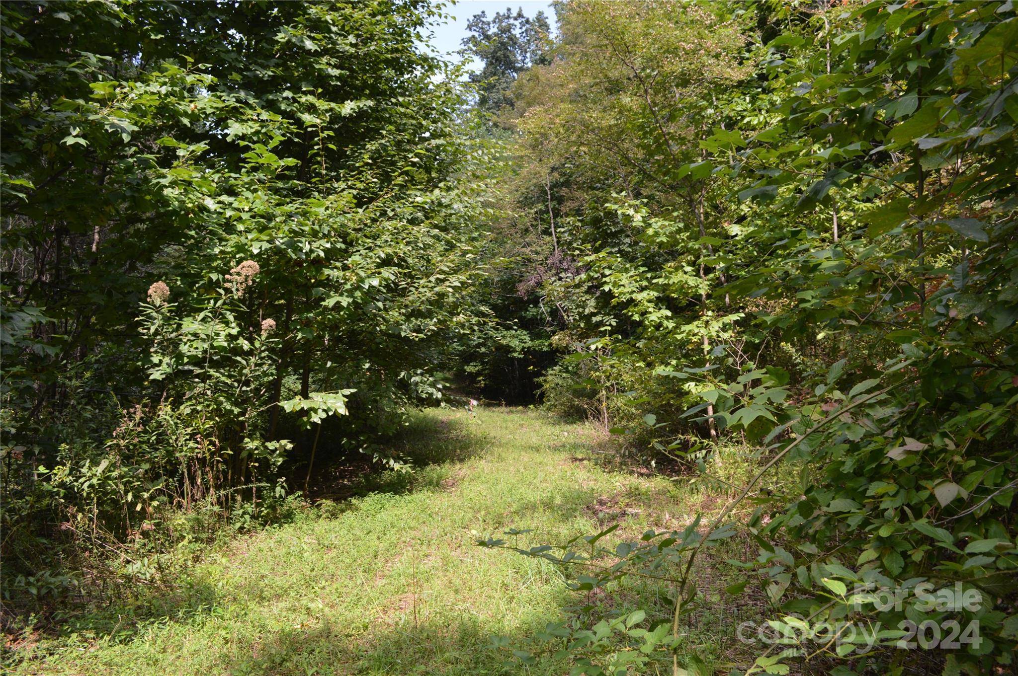 9999 Still Spring RD, Black Mountain, NC 28711