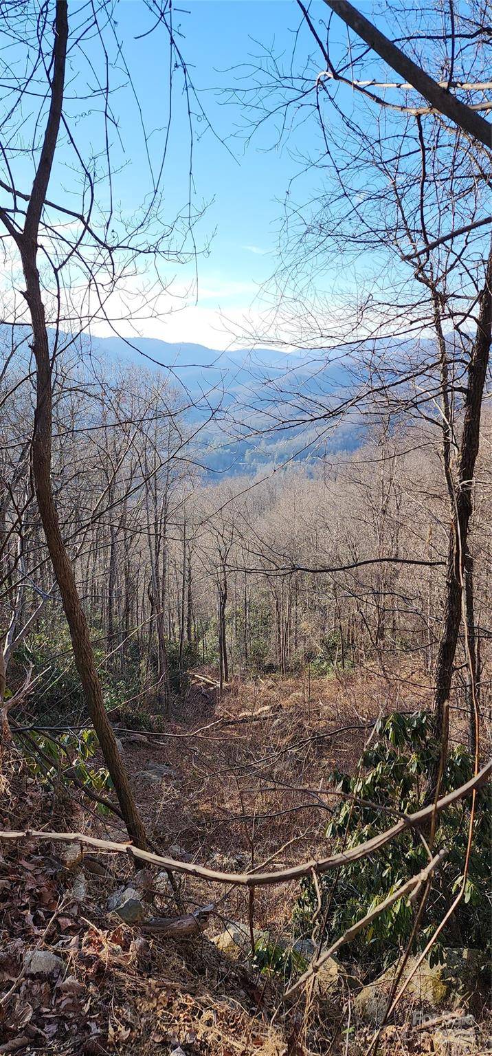 9999 Still Spring RD, Black Mountain, NC 28711