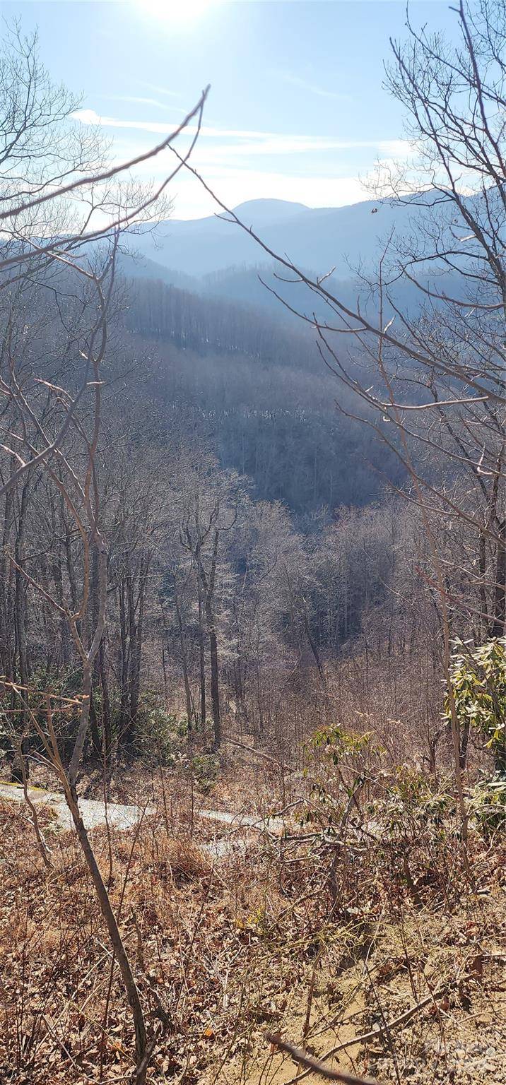 9999 Still Spring RD #Lot 4, Black Mountain, NC 28711