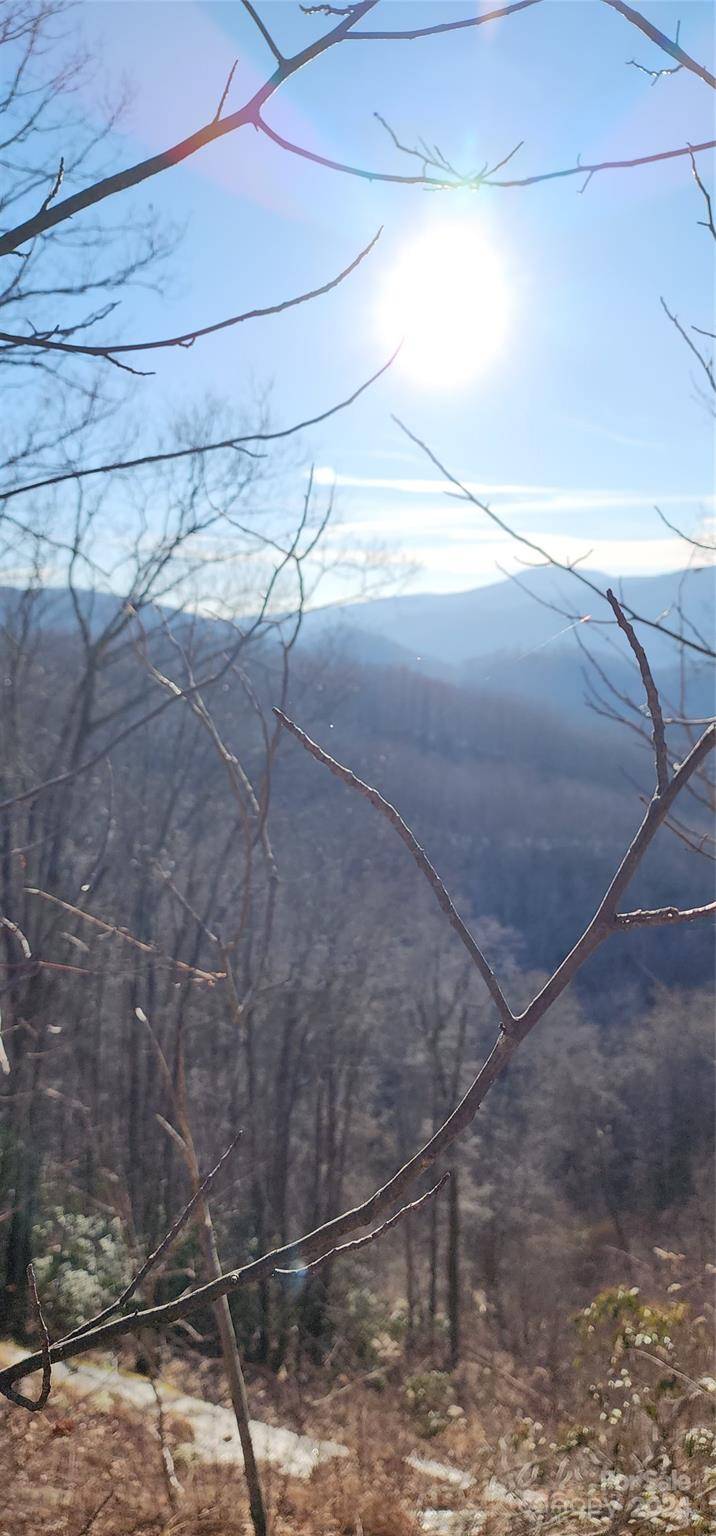 9999 Still Spring RD #Lot 4, Black Mountain, NC 28711