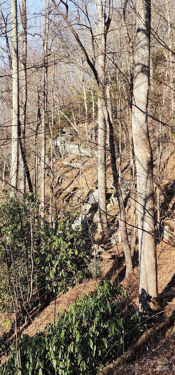 9999 Still Spring RD #Lot 4, Black Mountain, NC 28711