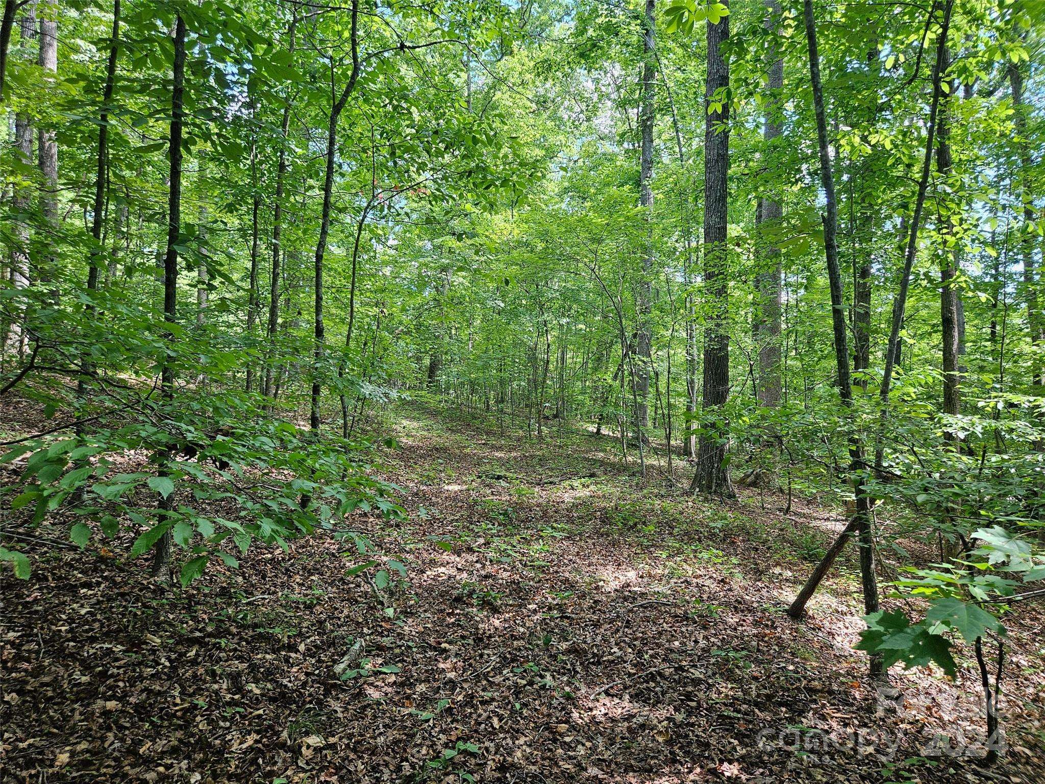0 Broyhill RD, Rutherfordton, NC 28139