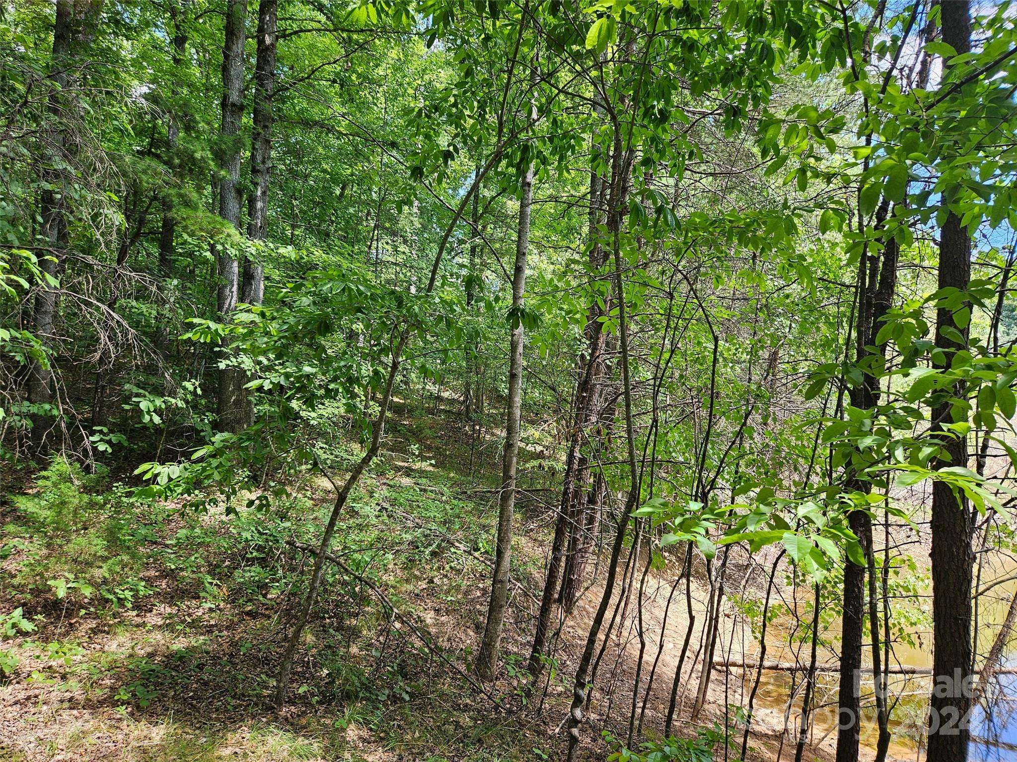 0 Broyhill RD, Rutherfordton, NC 28139