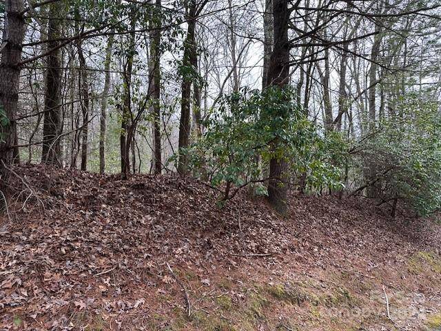 TBD Dotsuwa CT #L130&131-U26, Brevard, NC 28712