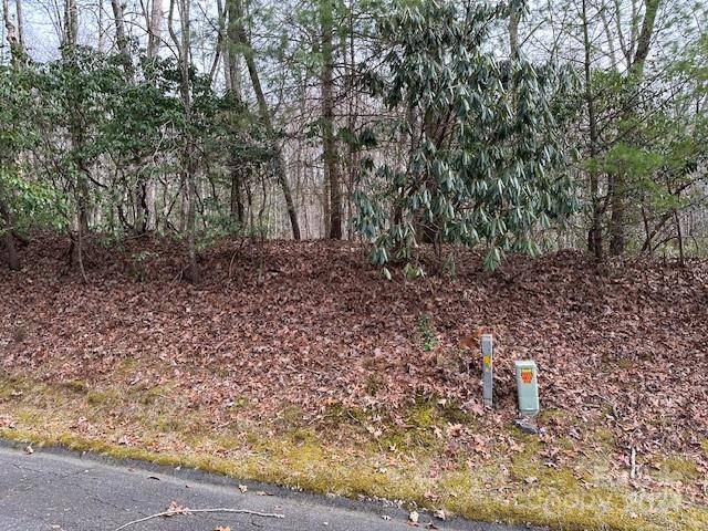 TBD Dotsuwa CT #L130&131-U26, Brevard, NC 28712