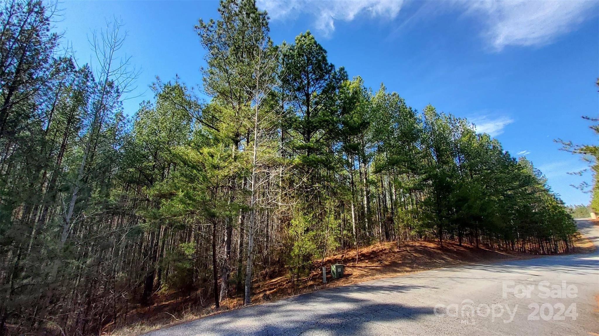 0 Sunset DR #20, Mill Spring, NC 28756