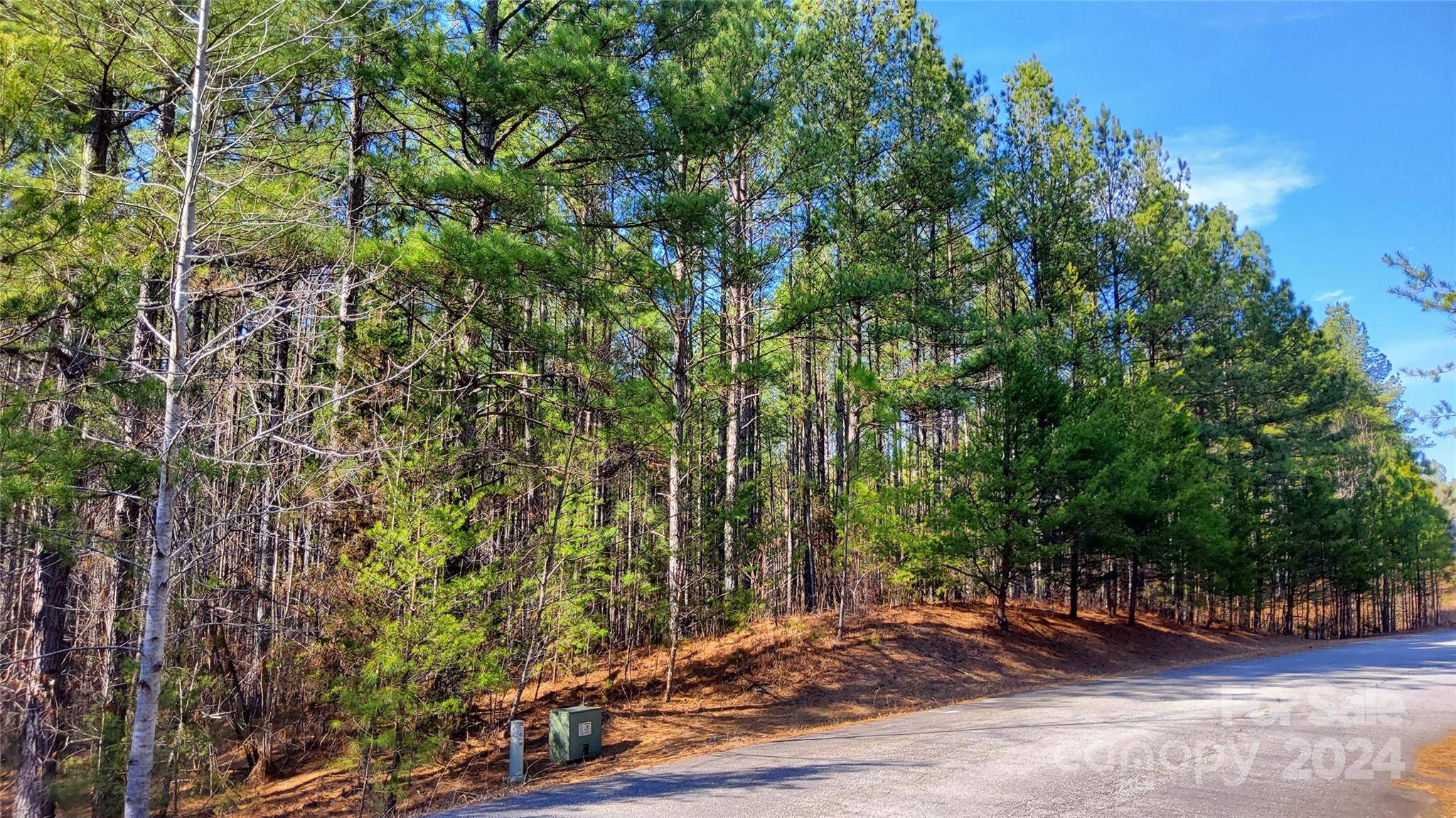 0 Sunset DR #20, Mill Spring, NC 28756