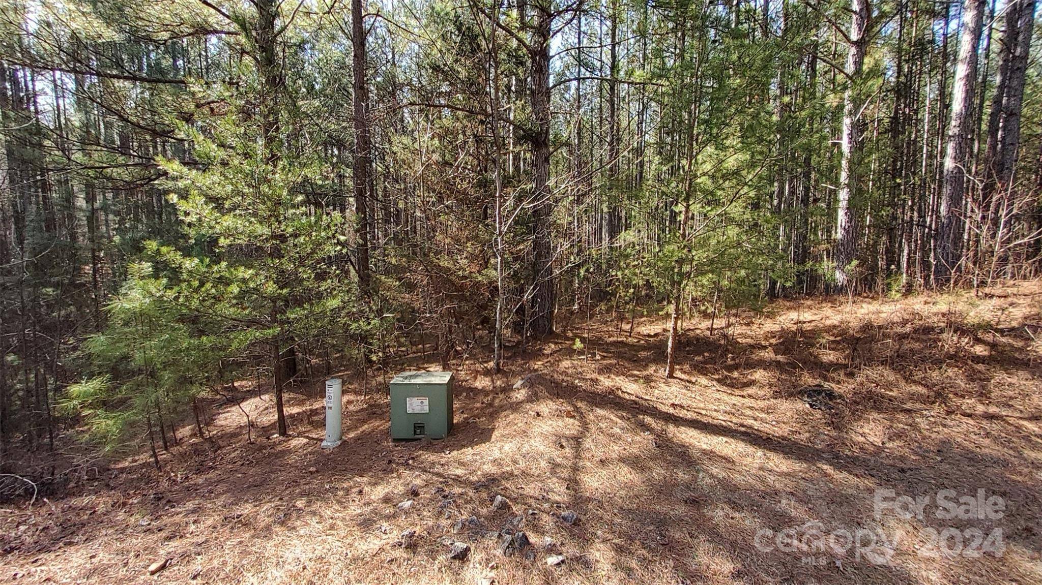 0 Sunset DR #20, Mill Spring, NC 28756