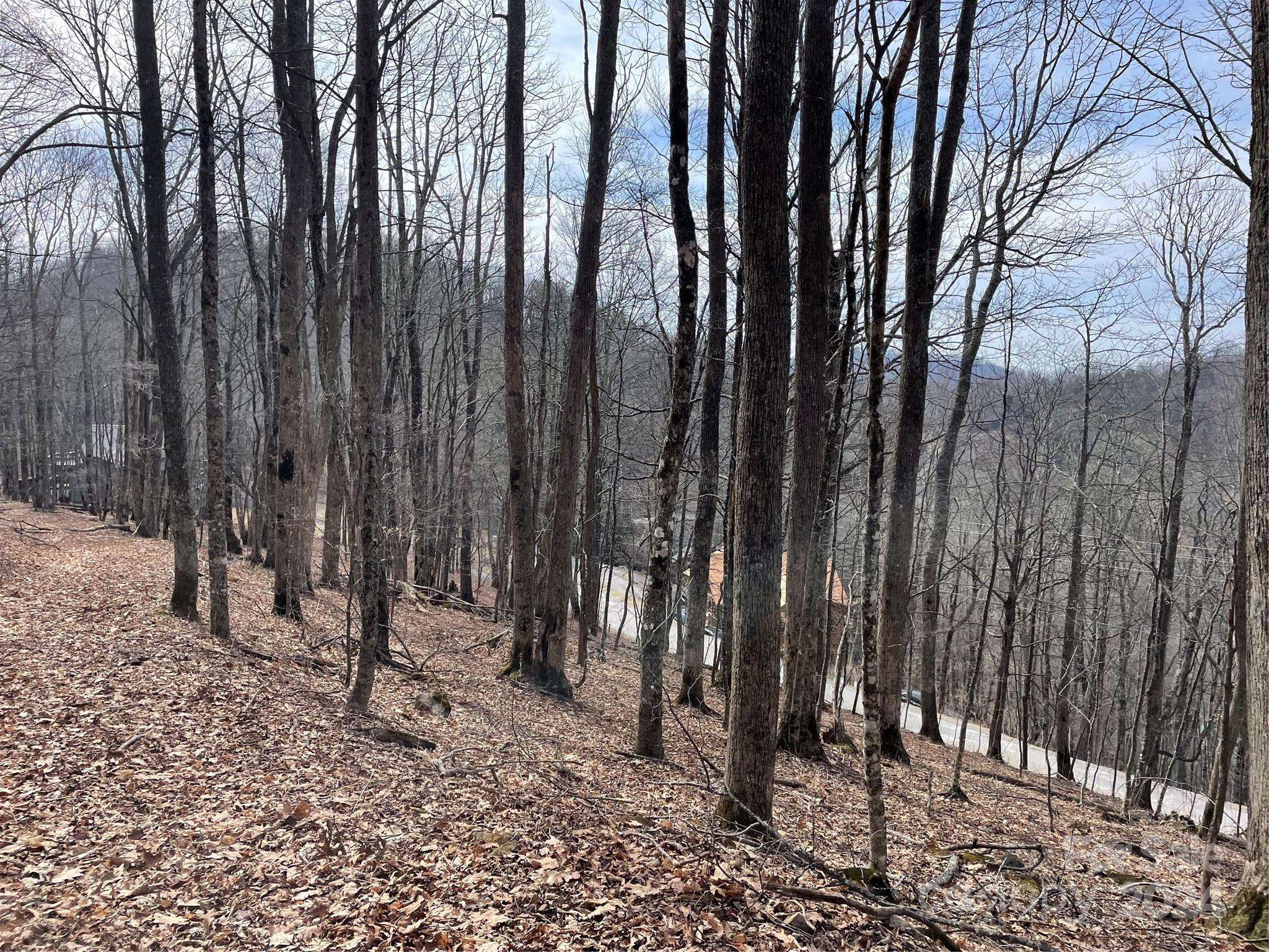 000 El Miner DR #464, Mars Hill, NC 28754
