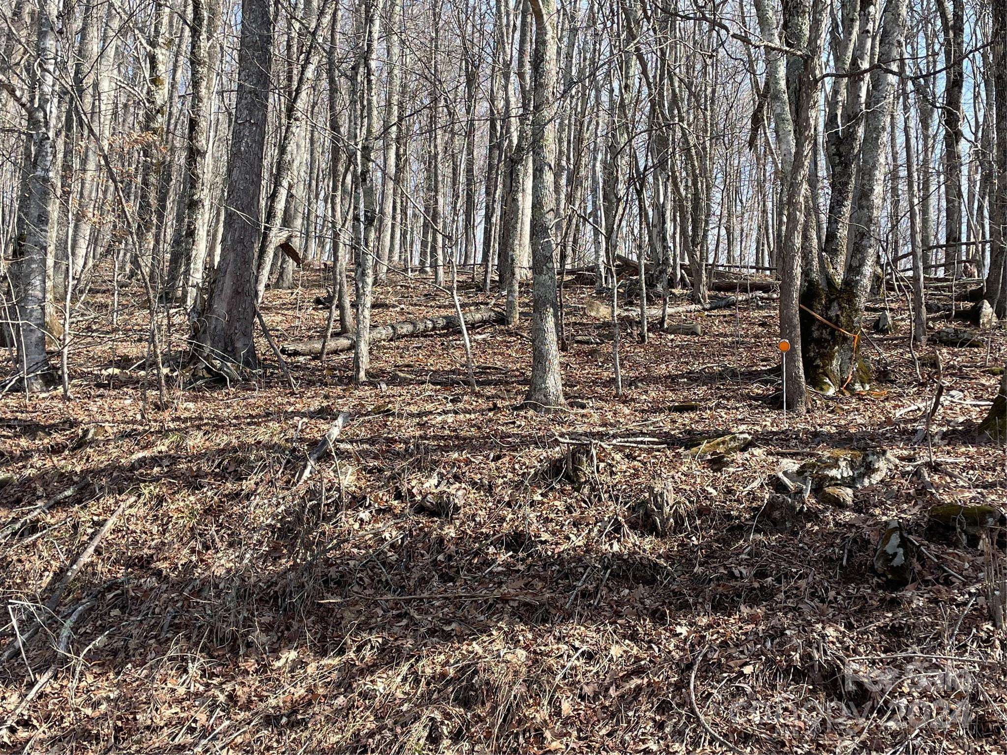 000 El Miner DR #464, Mars Hill, NC 28754