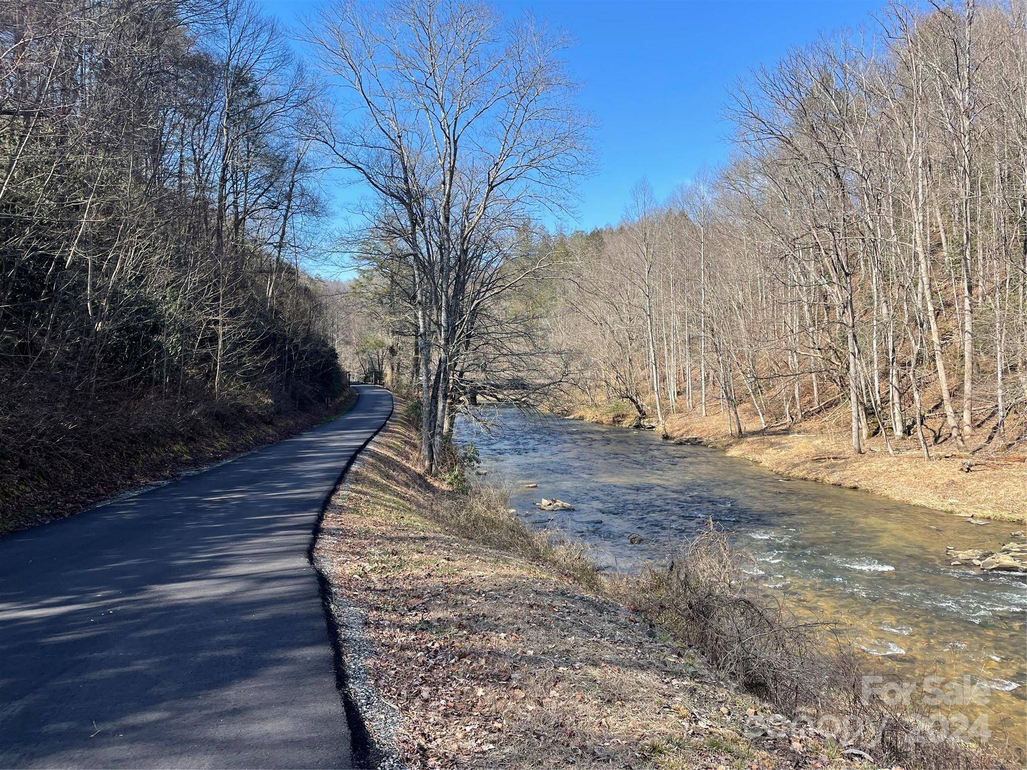000 Bear River Lodge TRL #77, Marshall, NC 28753