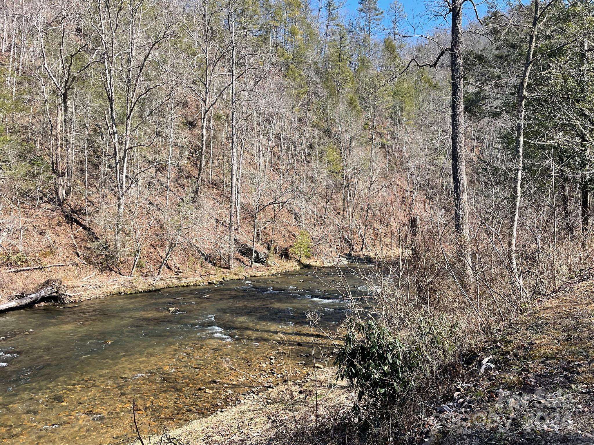 000 Bear River Lodge TRL #77, Marshall, NC 28753