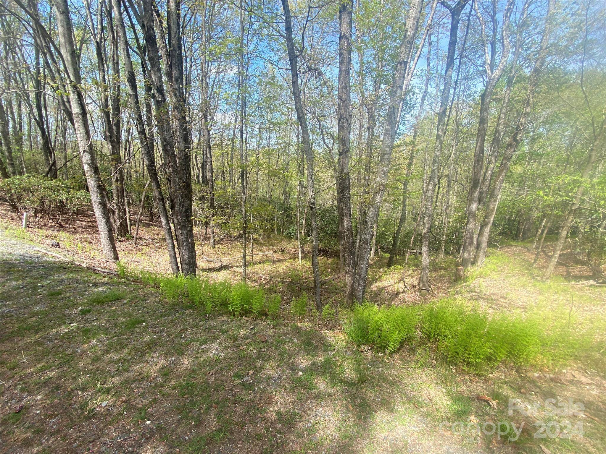 TBD Elaqua CT #54 & 55A/26, Brevard, NC 28712