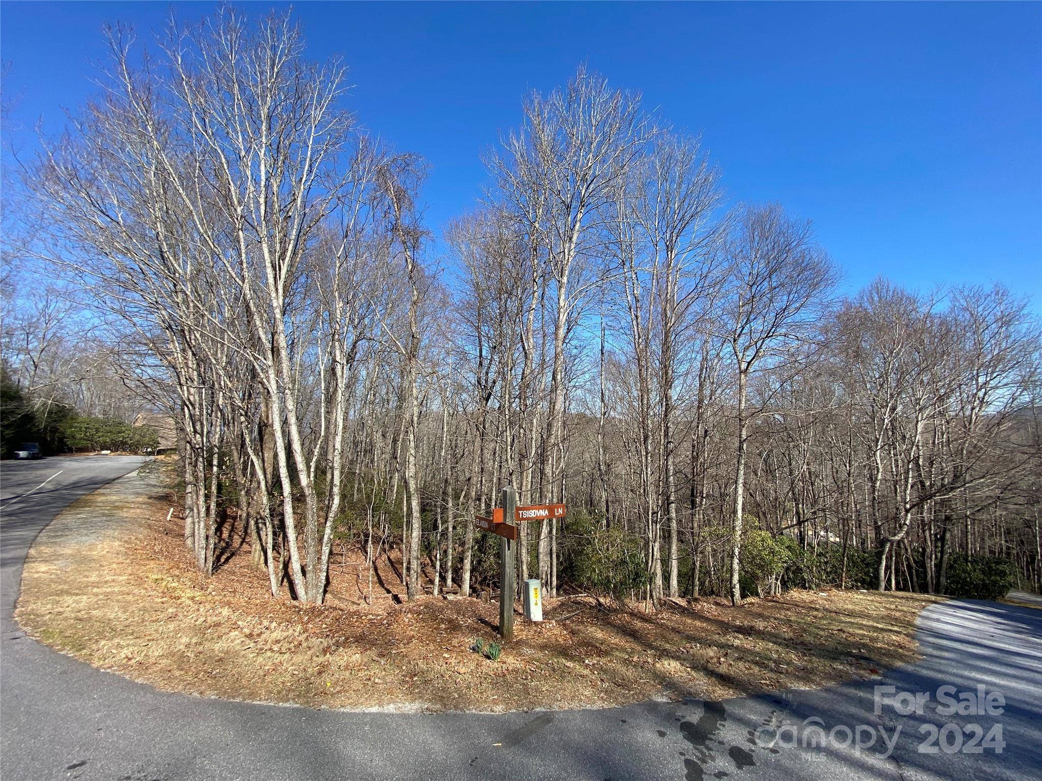 TBD Elaqua CT #54 & 55A/26, Brevard, NC 28712