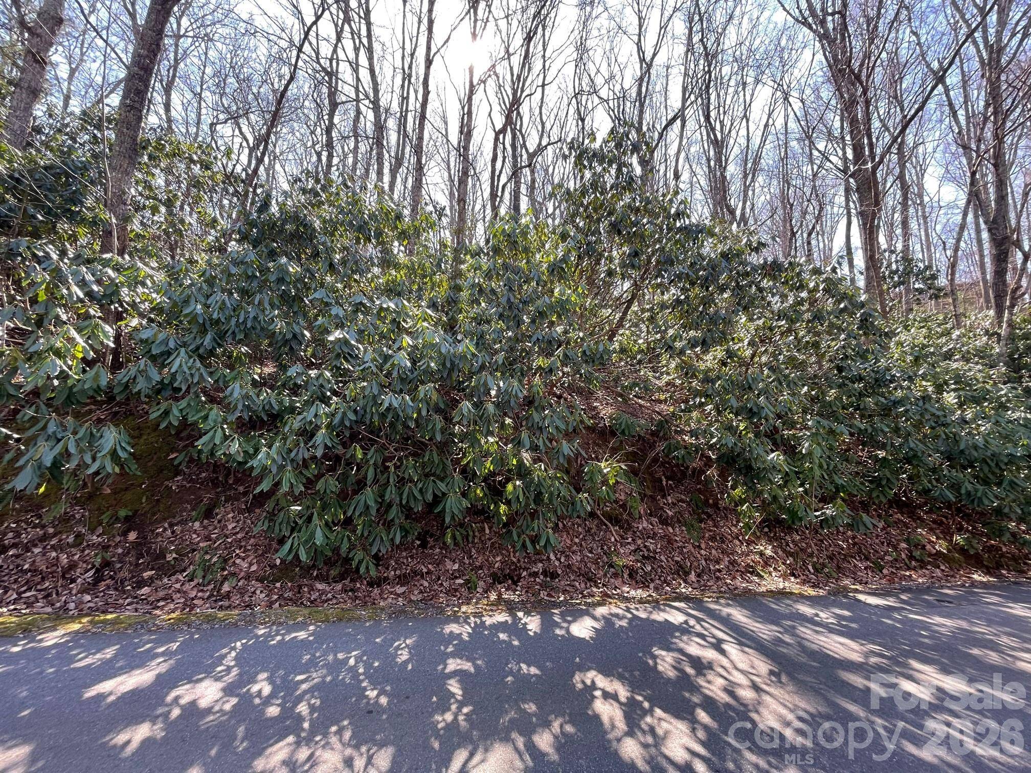 111 Deer Run LN #40, Asheville, NC 28805